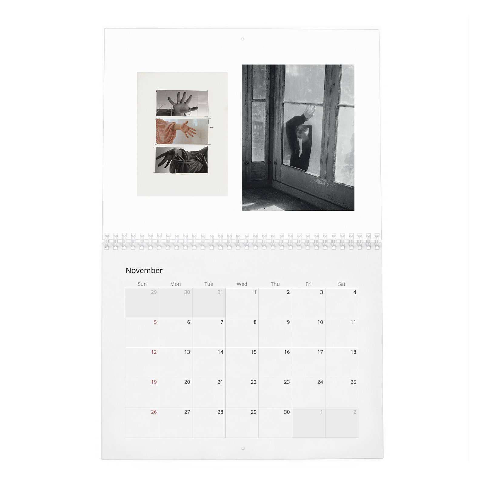 11 Amy Adams - So It Goes 2027 Wall Calendar