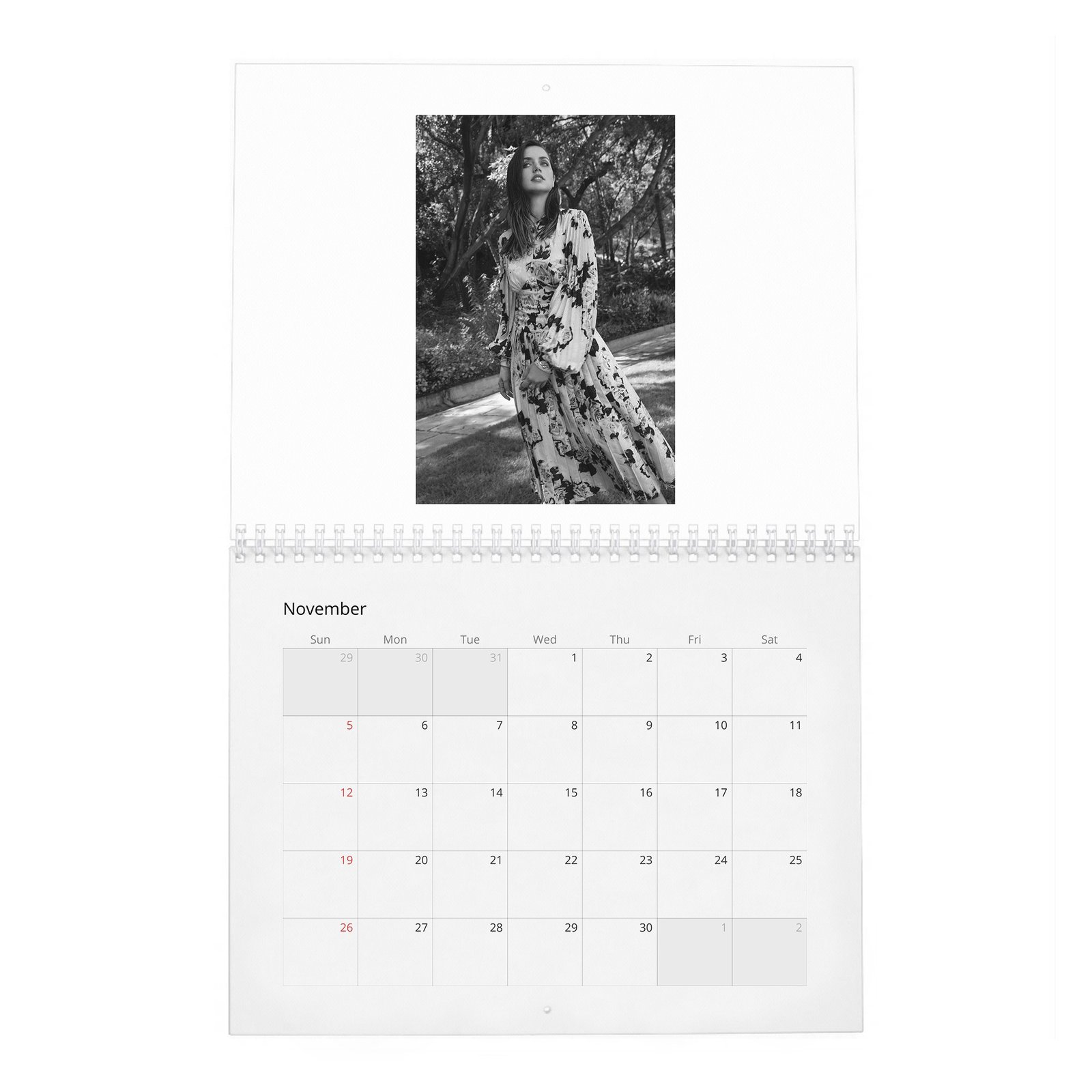 11 Ana De Armas - Flaunt 2027 Wall Calendar