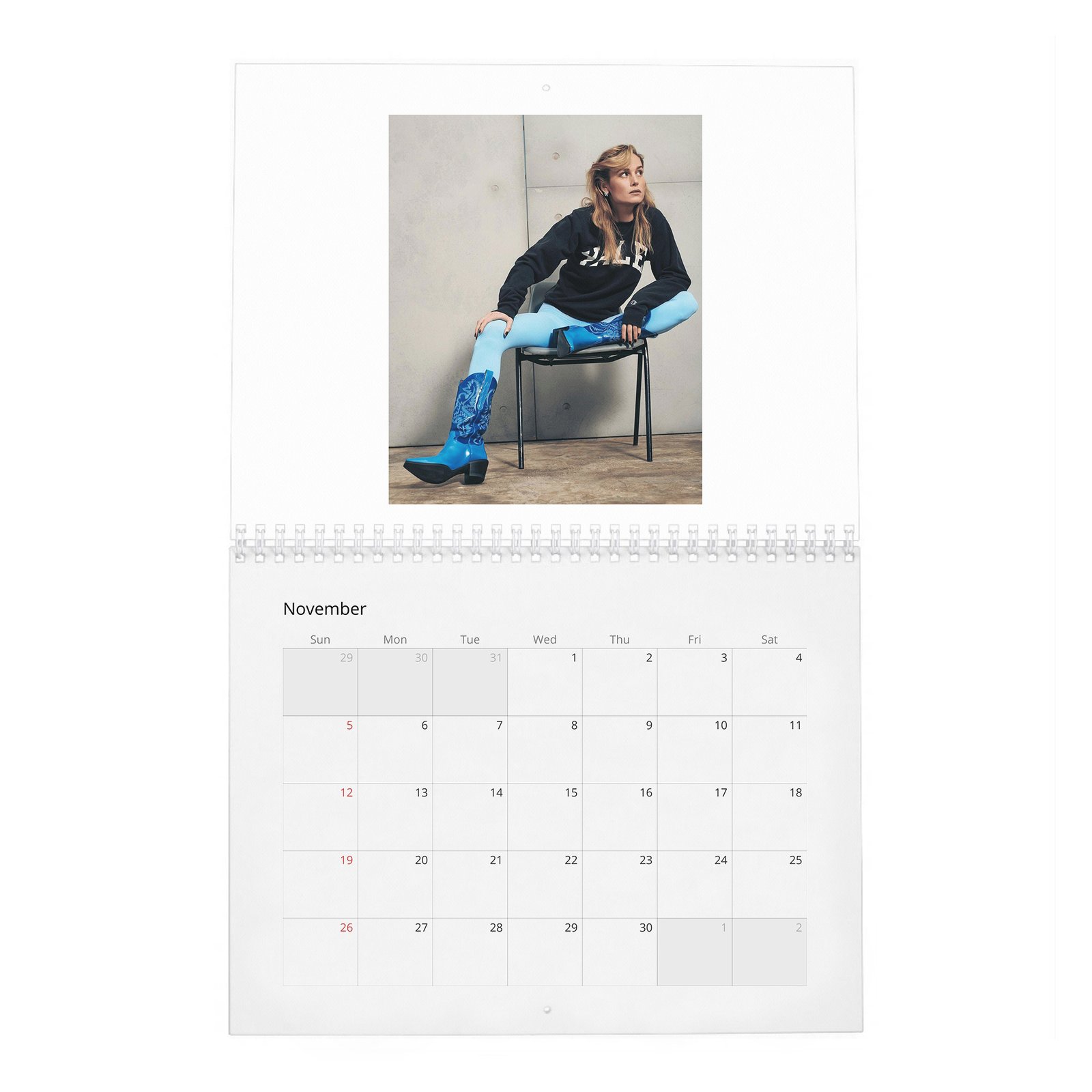Brie Larson - Goes Her Own Way 2027 Wall Calendar