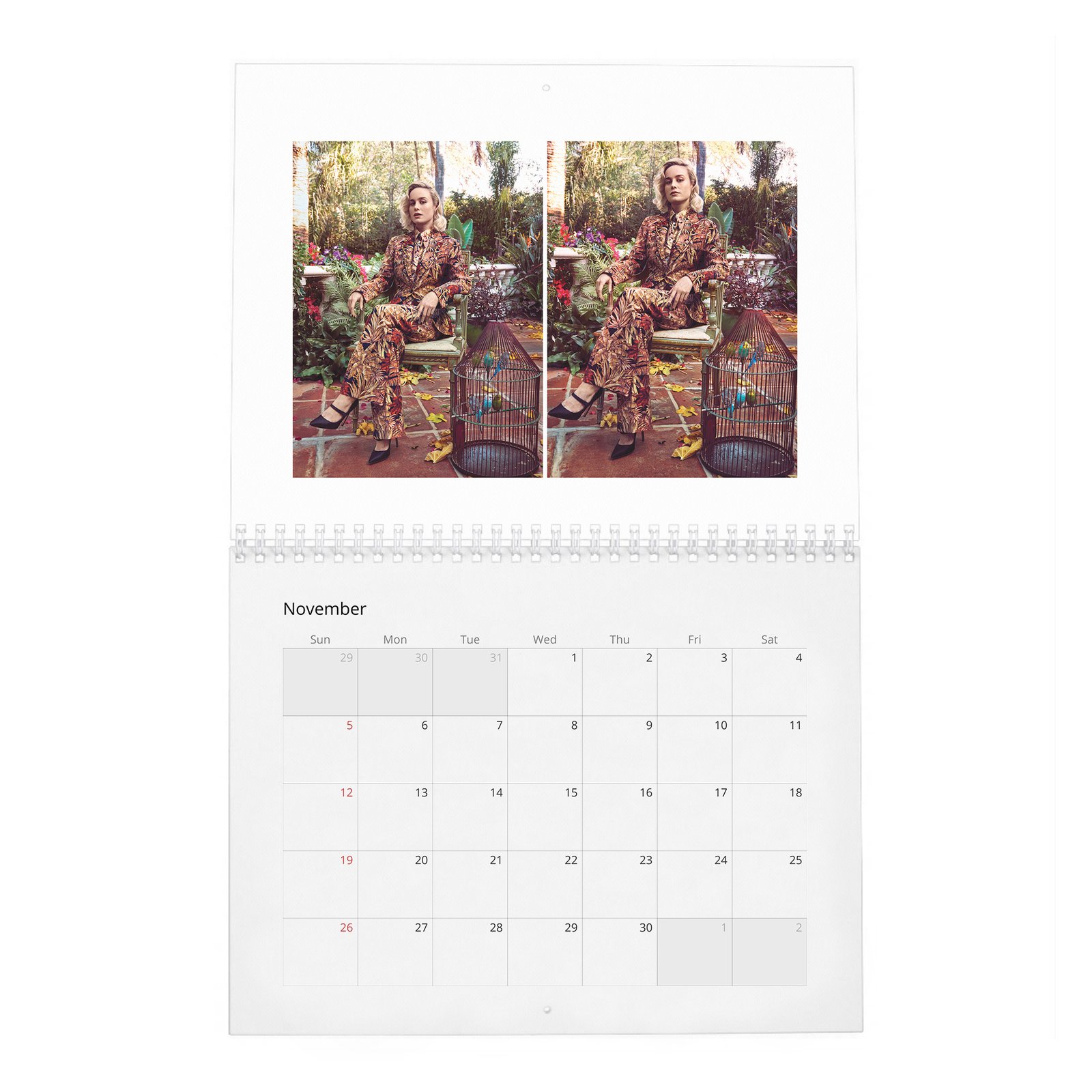 11 Brie Larson - Ready To Kick Some Ass 2027 Wall Calendar