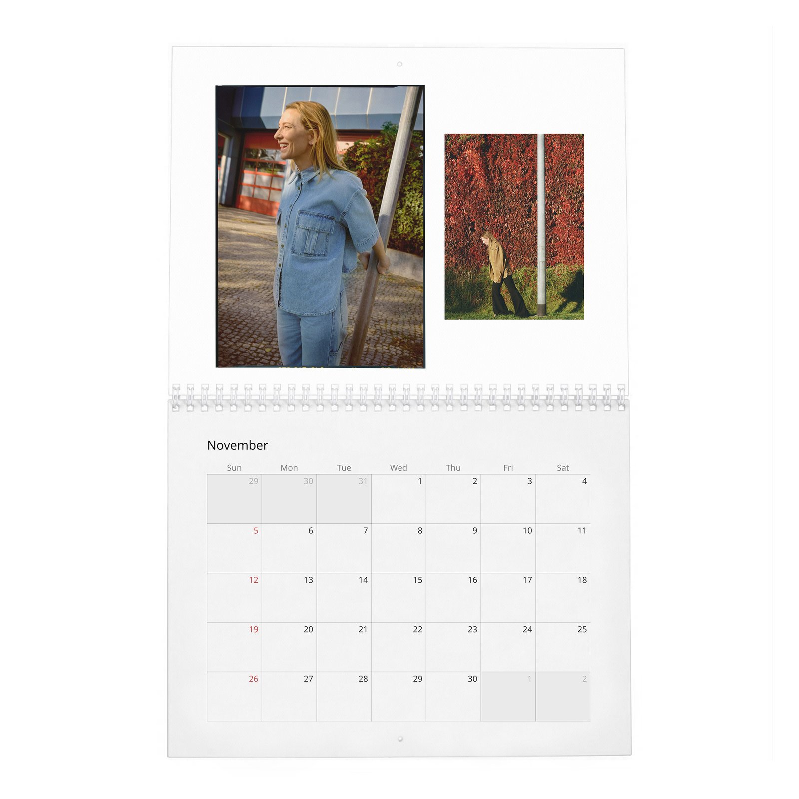 11 Cate Blanchett - Leading Light 2027 Wall Calendar