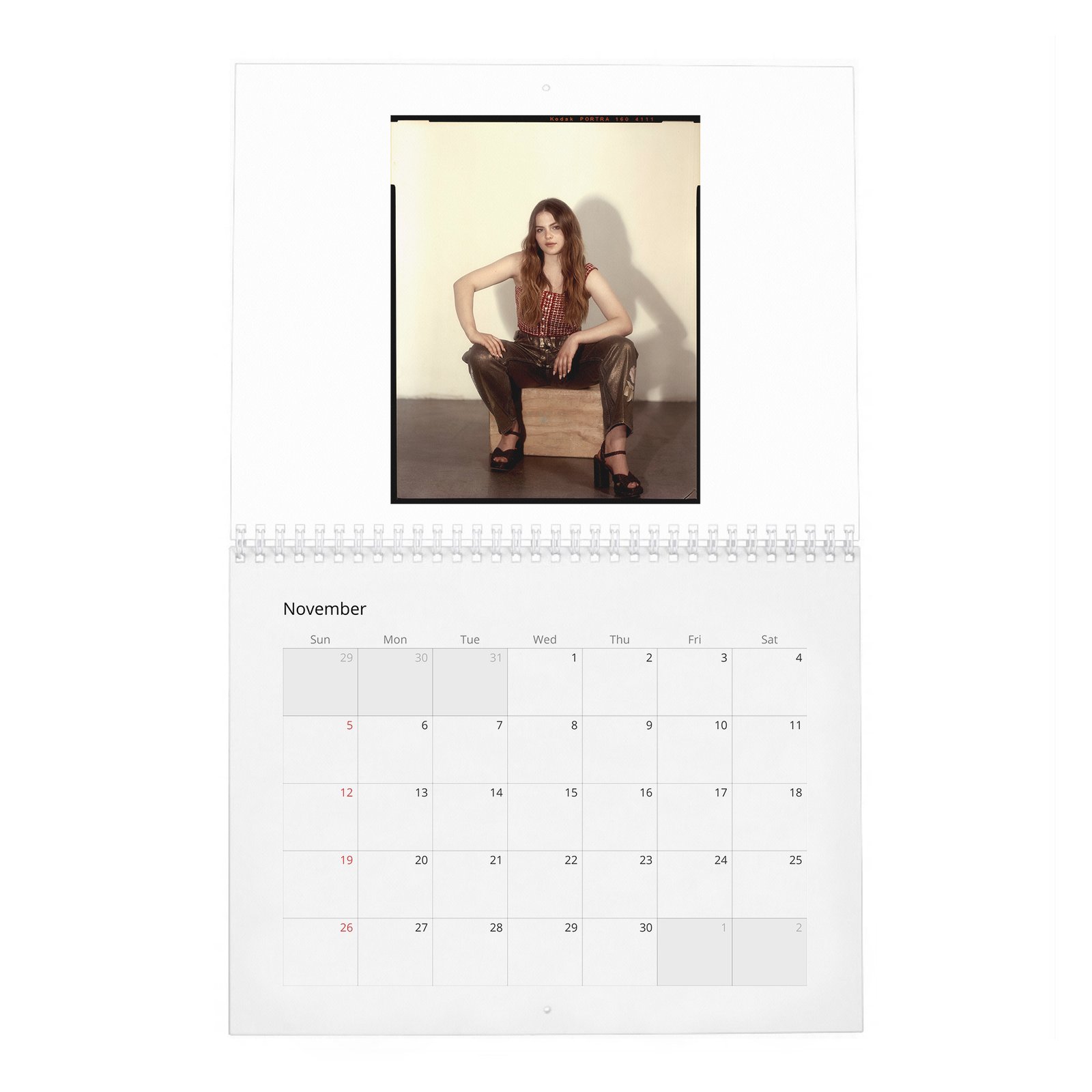 11 Chiara Aurelia - Aptitude And Ease 2027 Wall Calendar