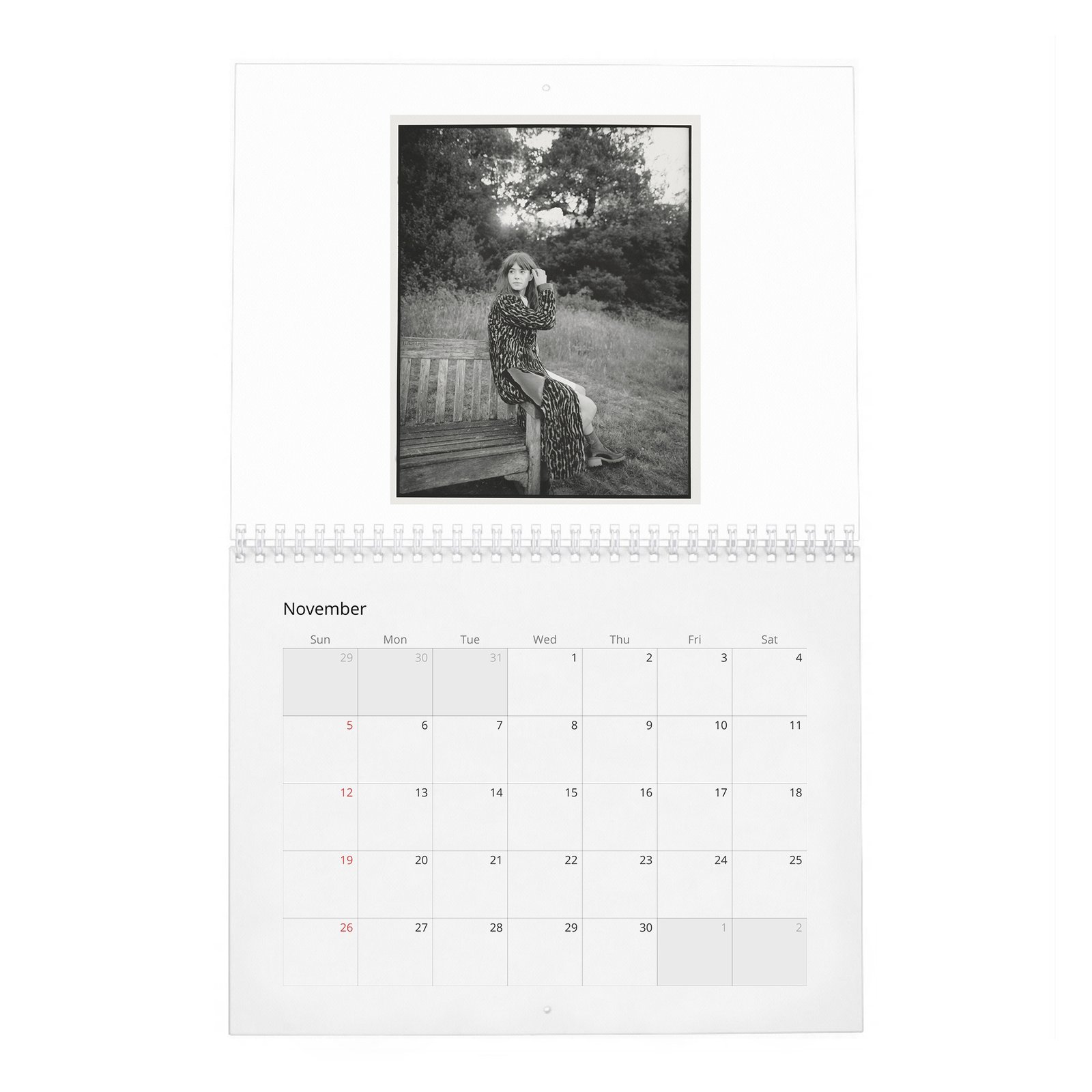 11 Daisy Edgar-Jones - Starring Breaktrough Talent 2027 Wall Calendar