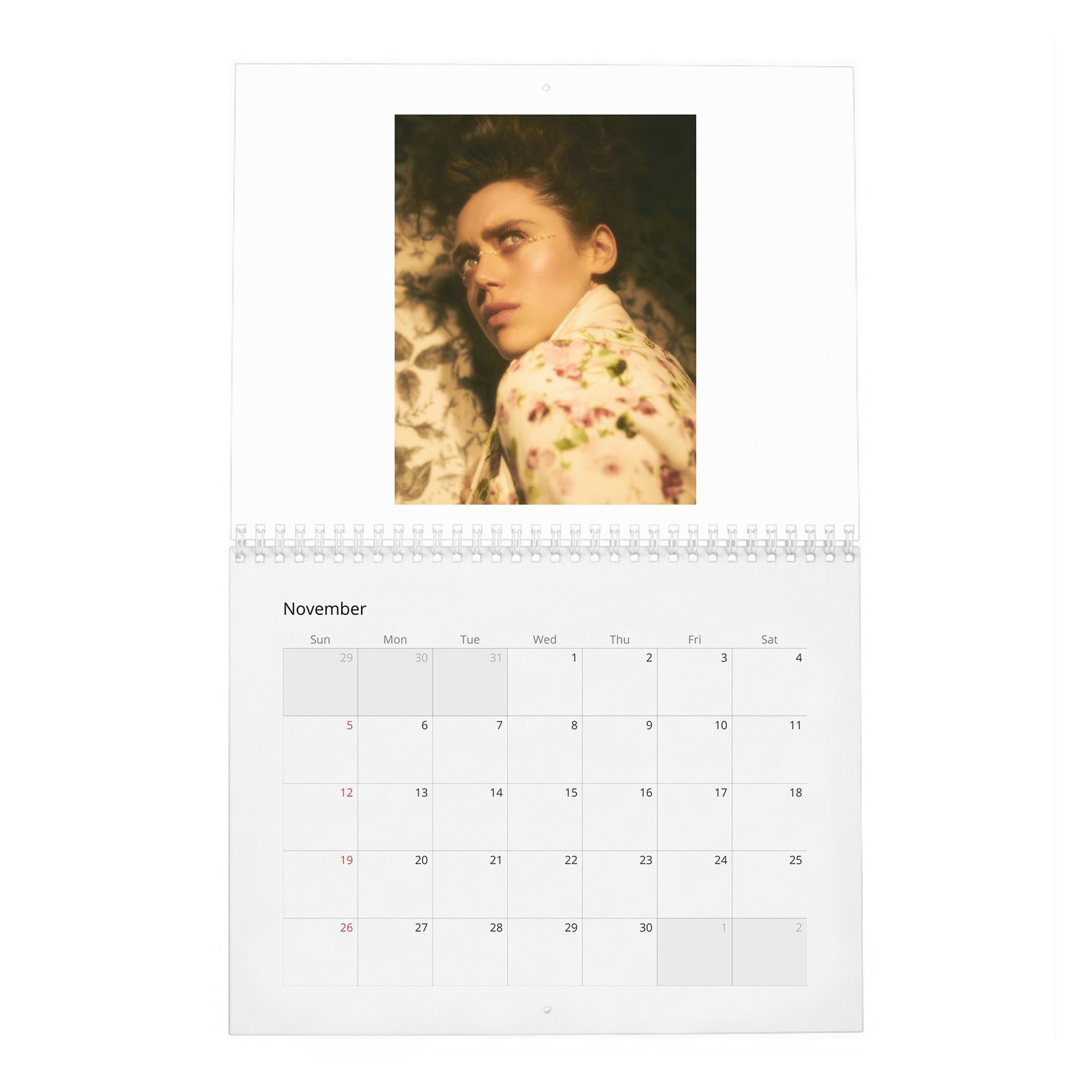 11 Daisy Head - Perseverance And Limitlessness 2027 Wall Calendar