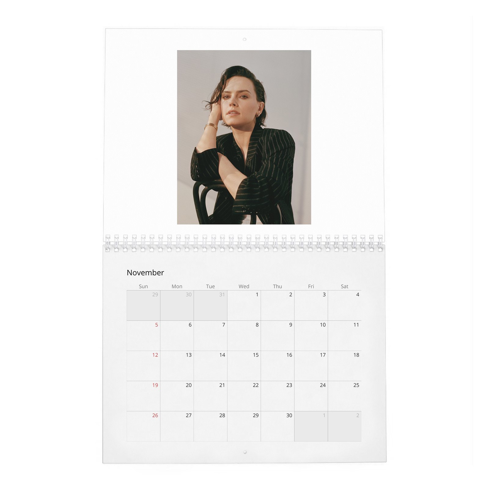 11 Daisy Ridley - Trailblazer In Her Own Right 2027 Wall Calendar