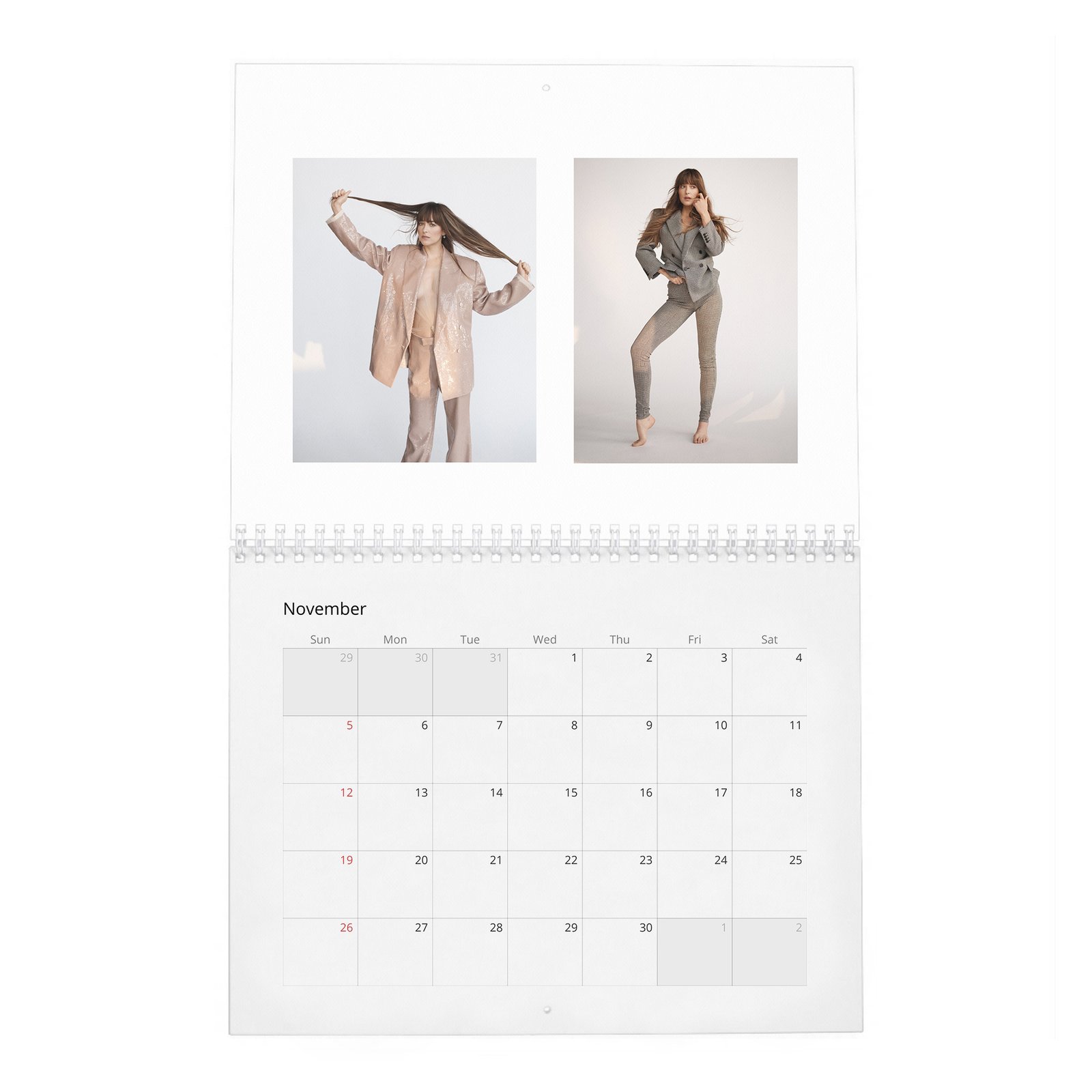 Dakota Johnson - Finding Her Light 2027 Wall Calendar