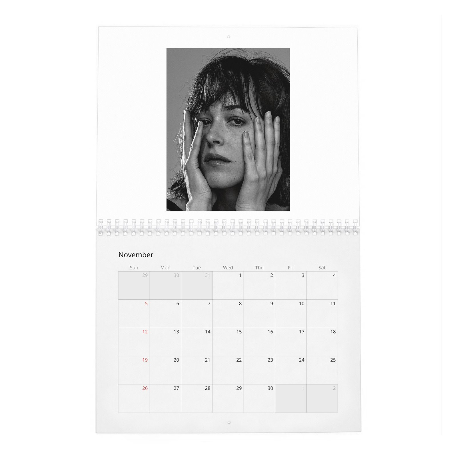 Dakota Johnson - Present A New Vision 2027 Wall Calendar