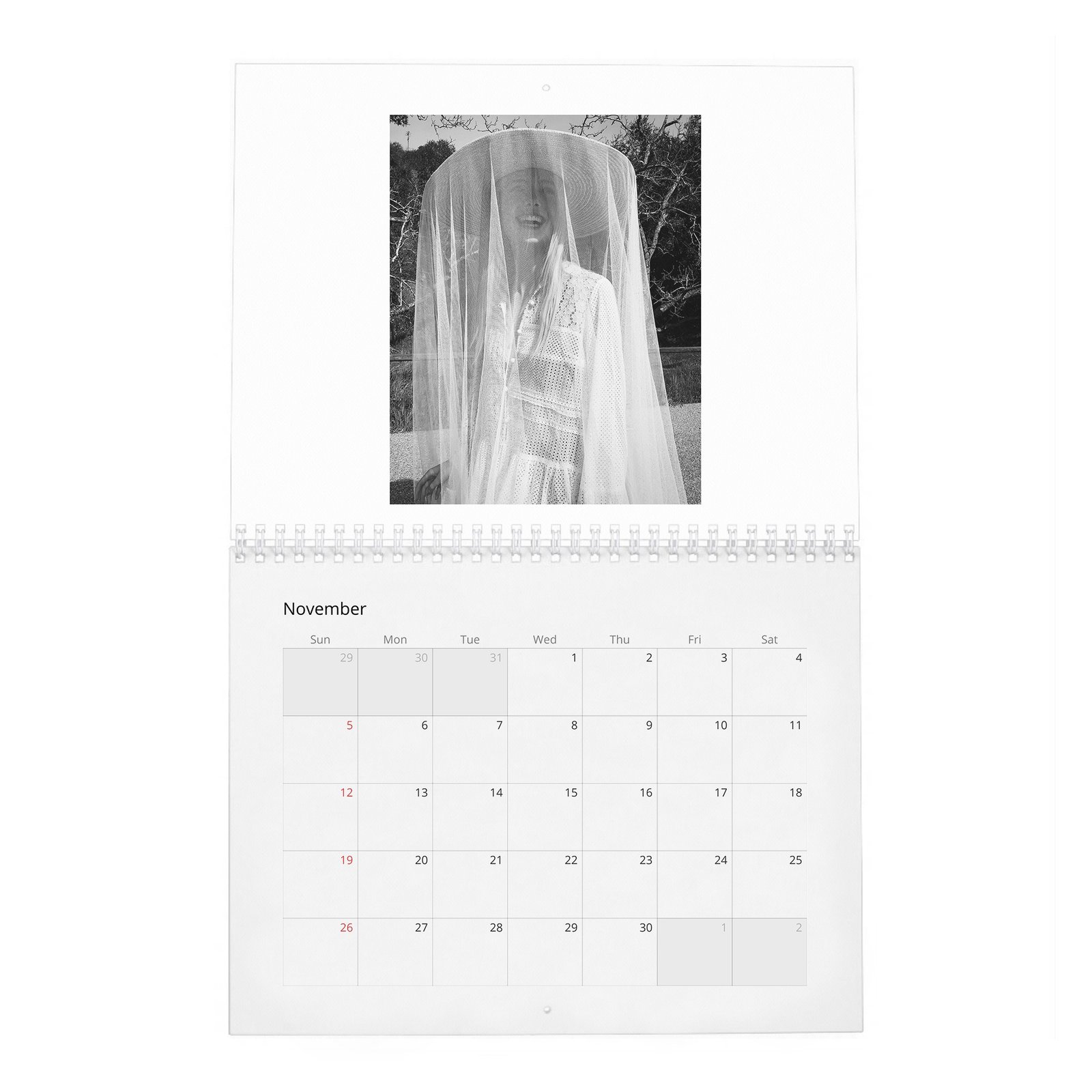 Elle Fanning - Heavenly Creature 2027 Wall Calendar