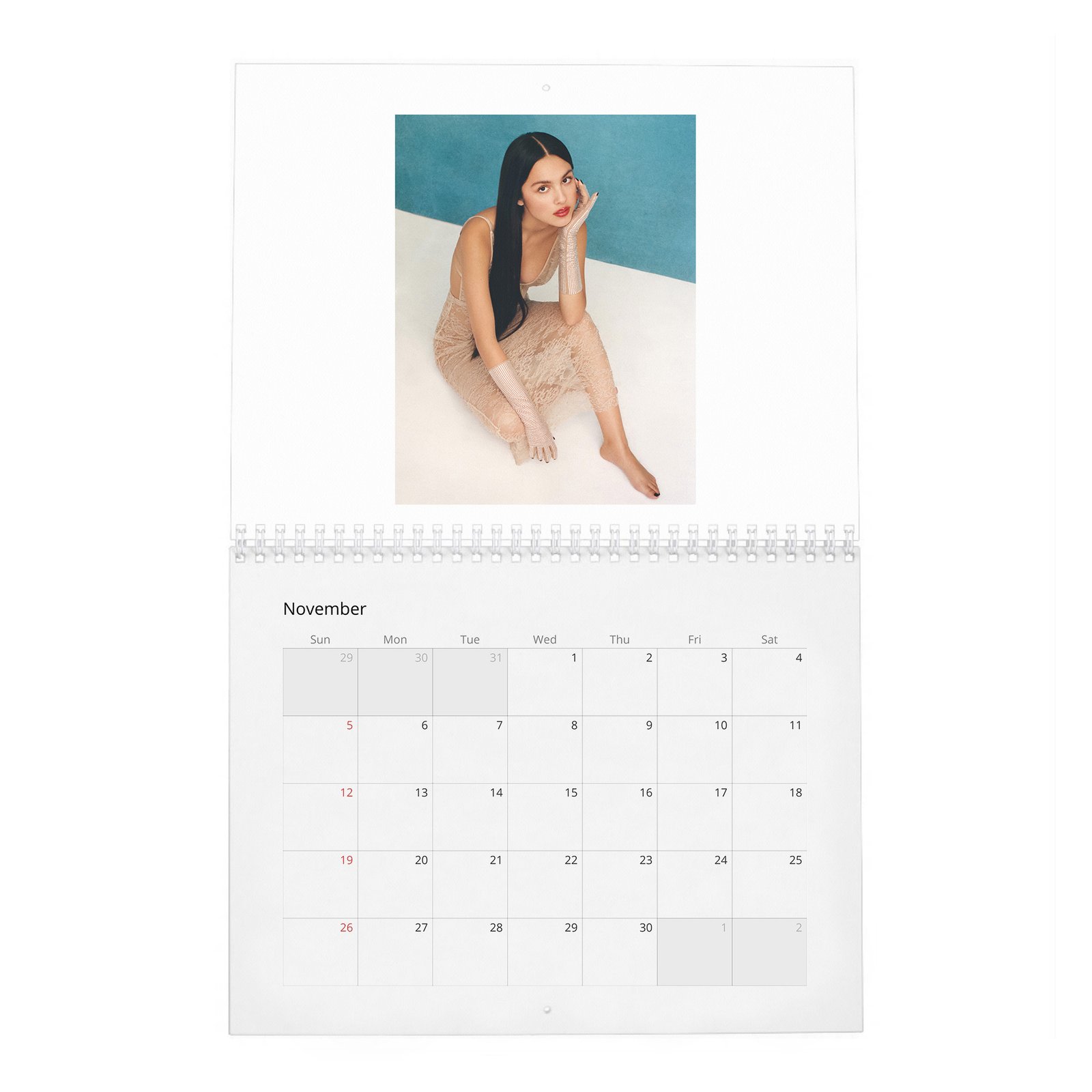 11 Olivia Rodrigo - Dreamer 2027 Wall Calendar