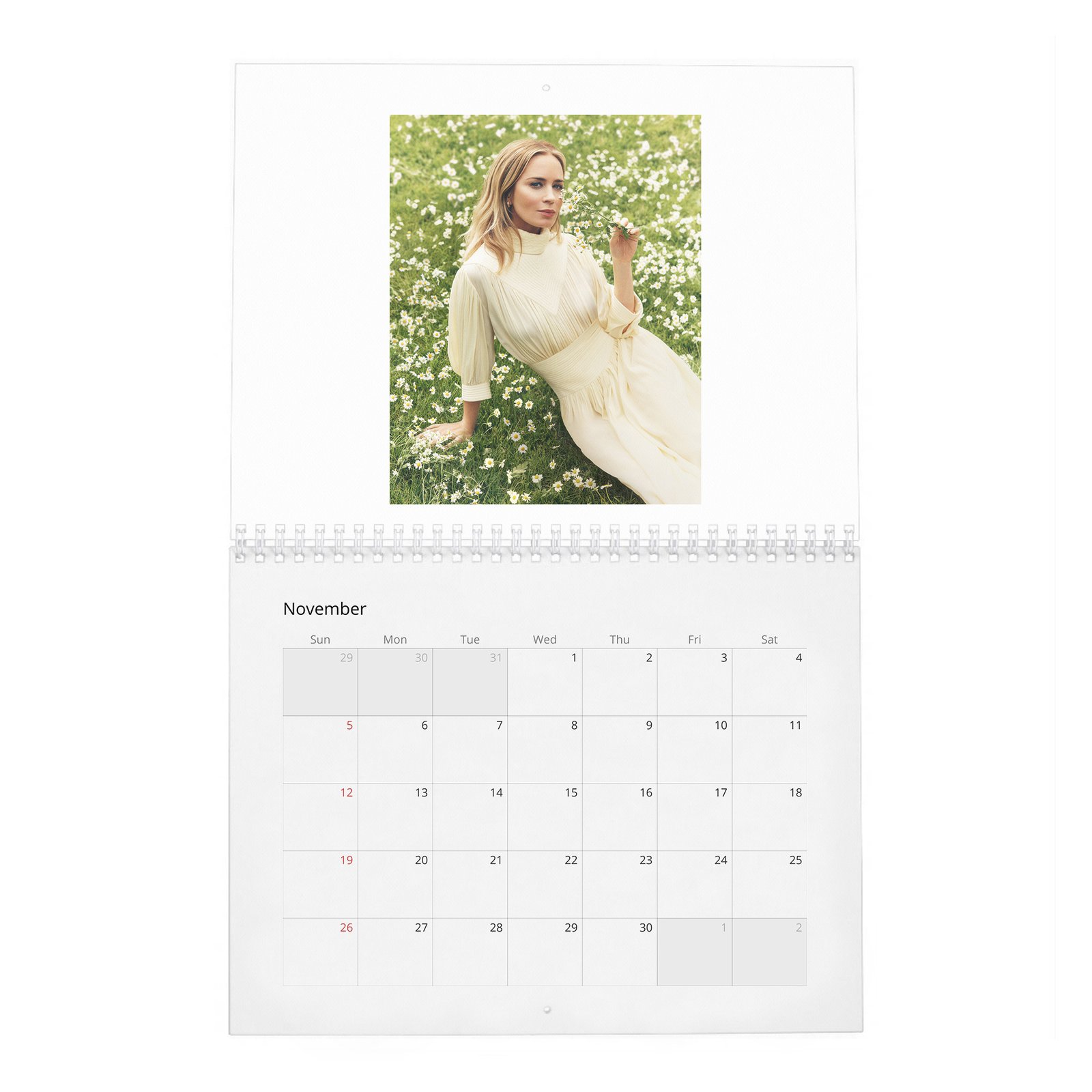 11 Emily Blunt - In Full Bloom 2027 Wall Calendar