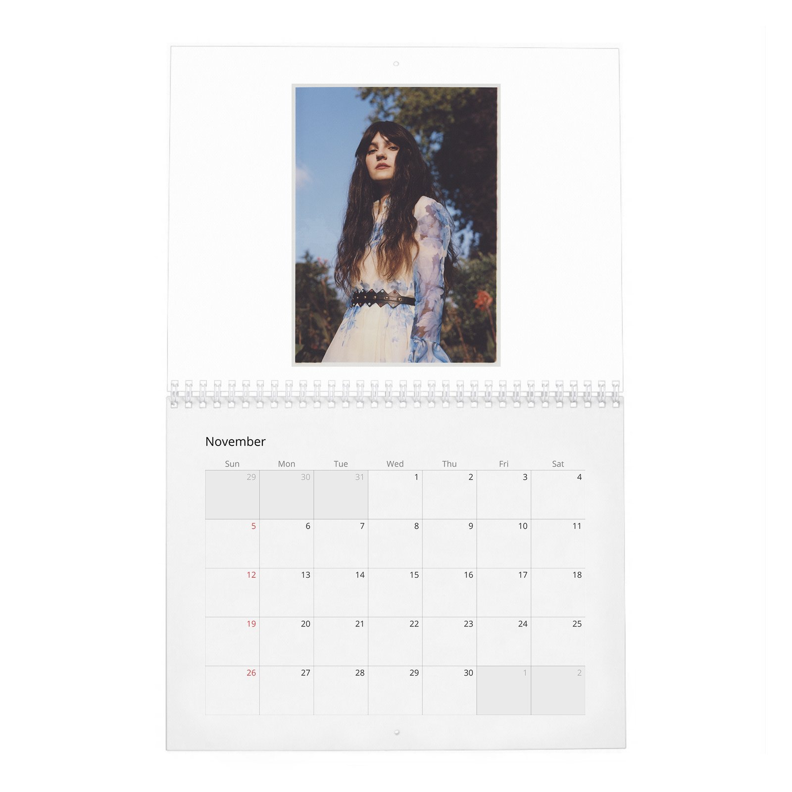 11 Emily Carey - Rose And Ivy 2027 Wall Calendar