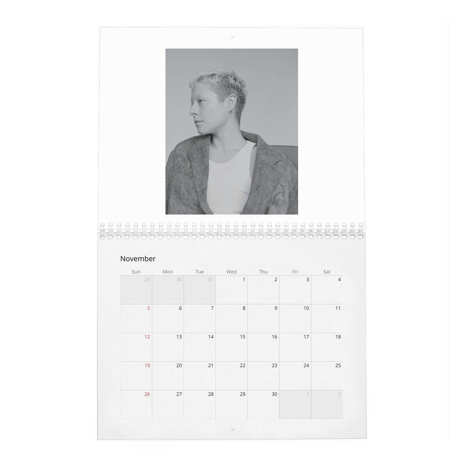 Emma D’Arcy - The Dragon Queen 2027 Wall Calendar