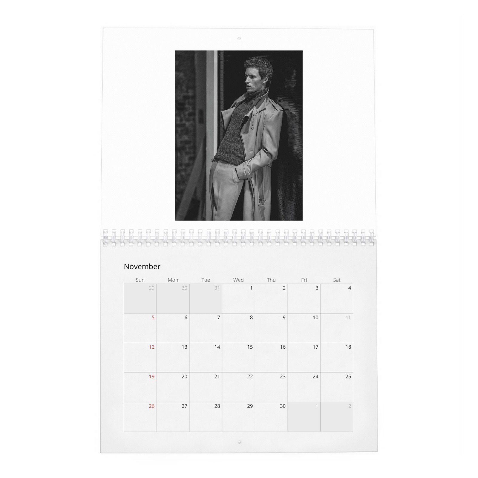 Eddie Redmayne - In Theory It Has Everything 2027 Wall Calendar