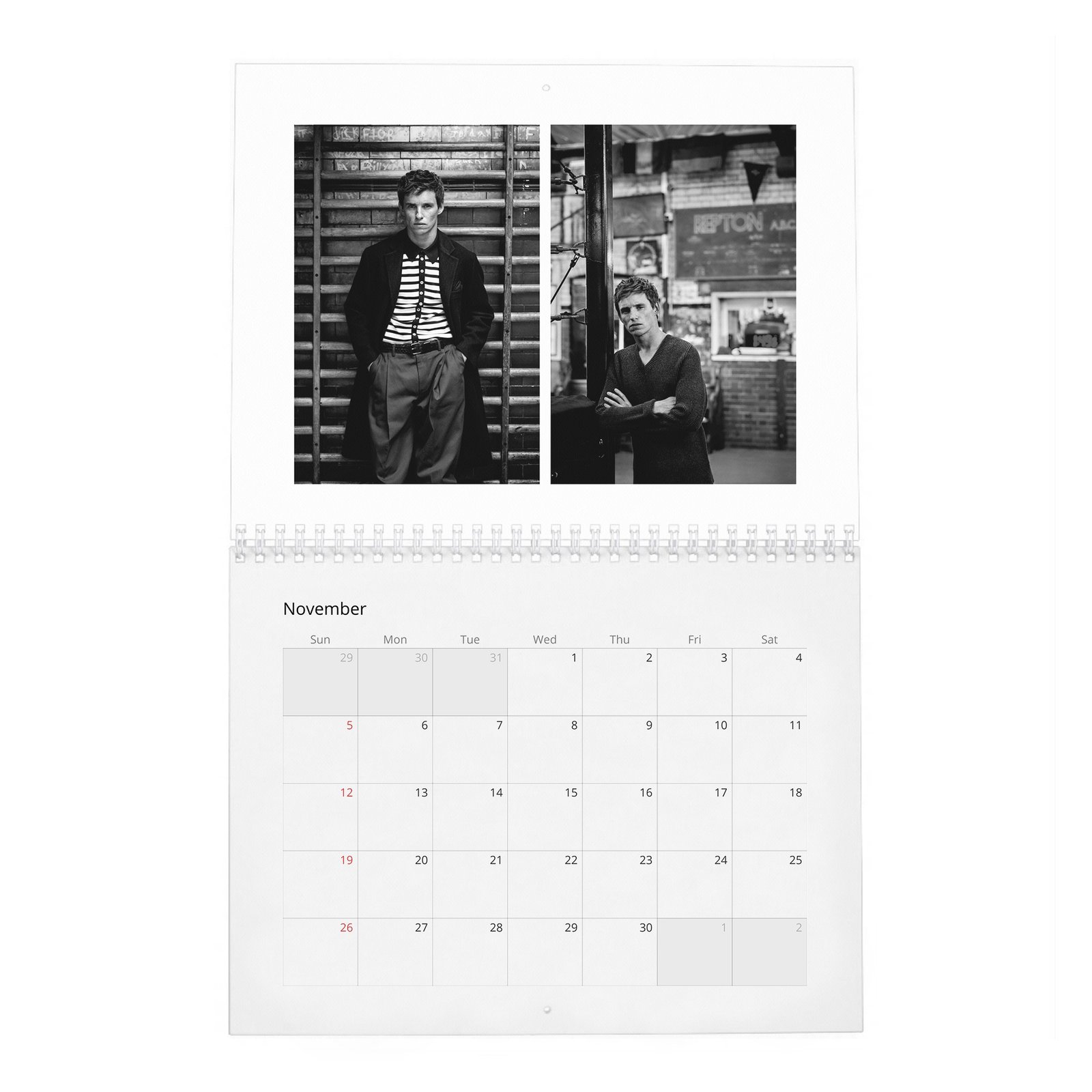 11 Eddie Redmayne - Rare Talent 2027 Wall Calendar