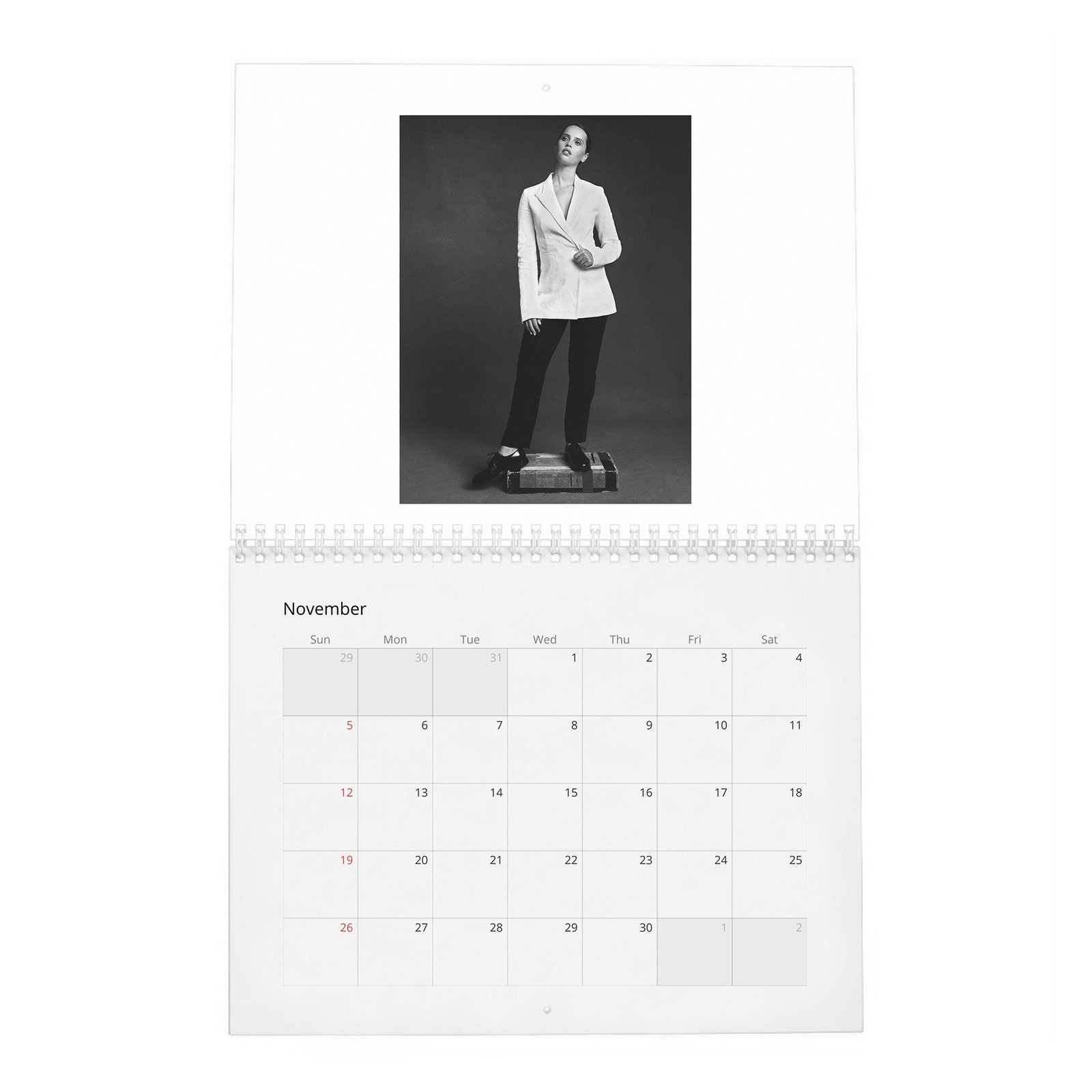 Felicity Jones - Rebel With A Cause 2027 Wall Calendar