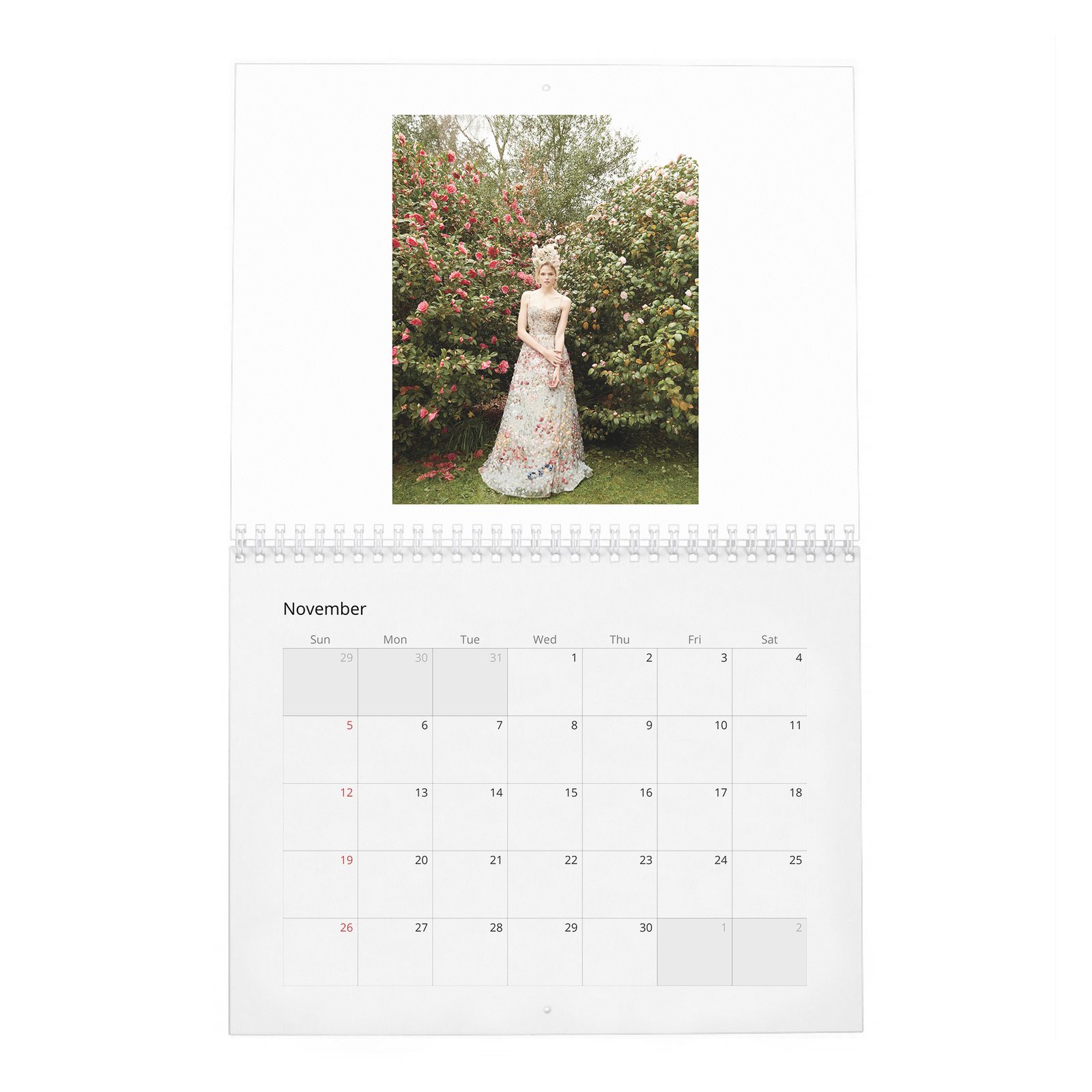 Gabriella Wilde - In Fine Feather 2027 Wall Calendar