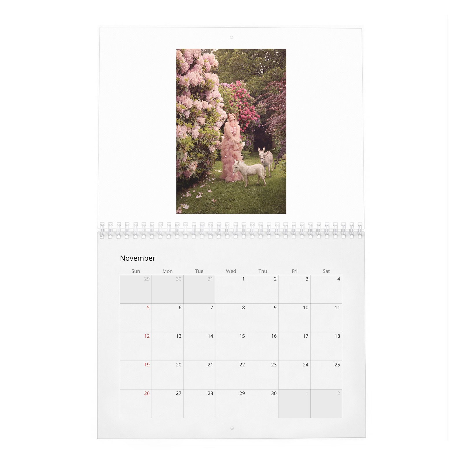 11 Hayley Atwell - Inside The Hundred Acre Wood 2027 Wall Calendar