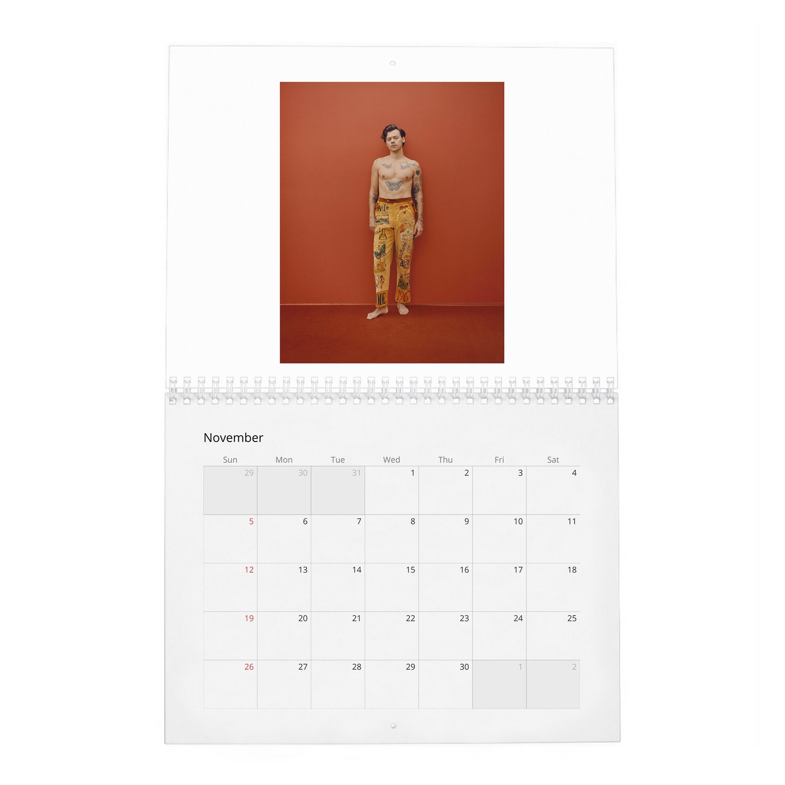 11 Harry Styles - Playtime 2027 Wall Calendar