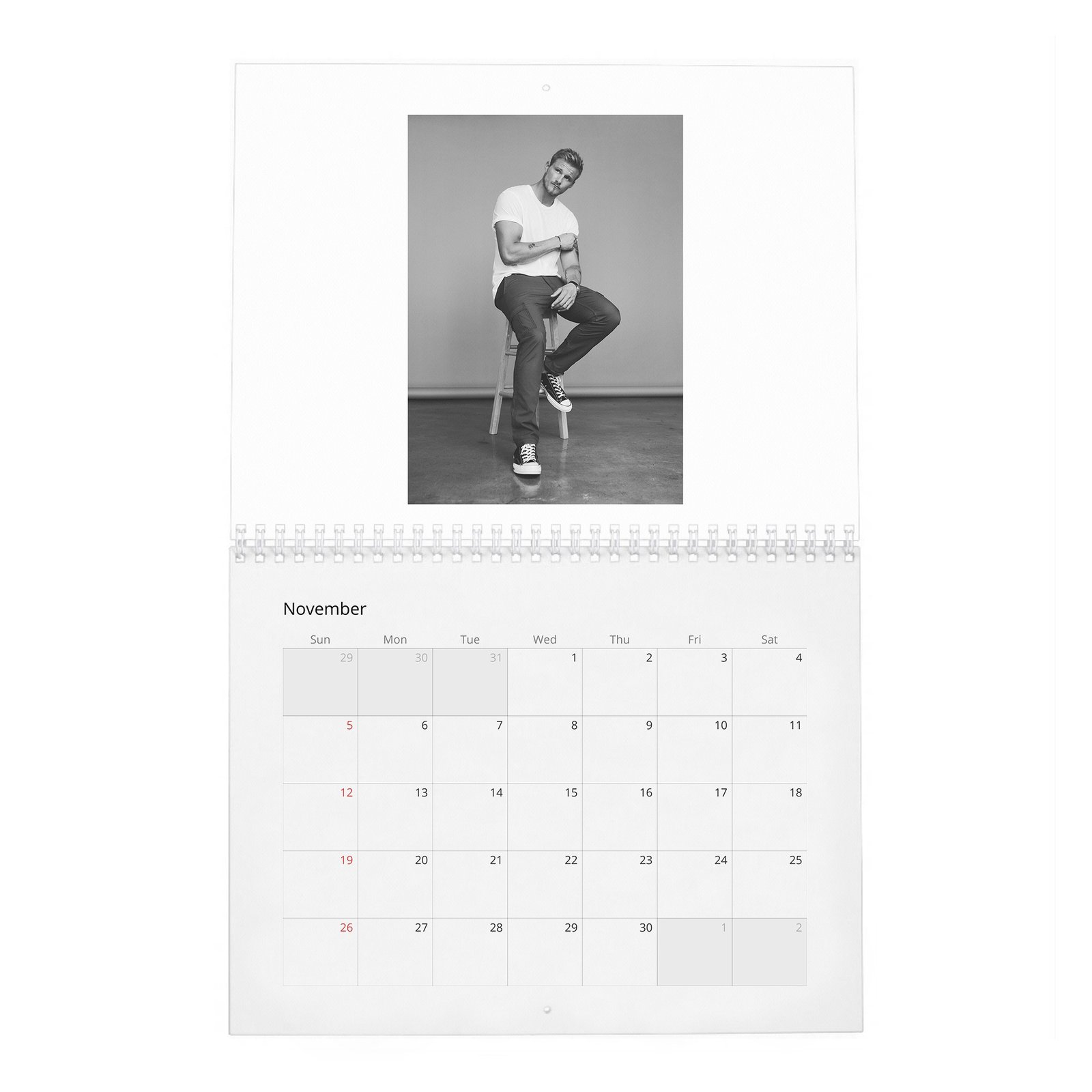 11 Alexander Ludwig - Lucky In Love 2027 Wall Calendar