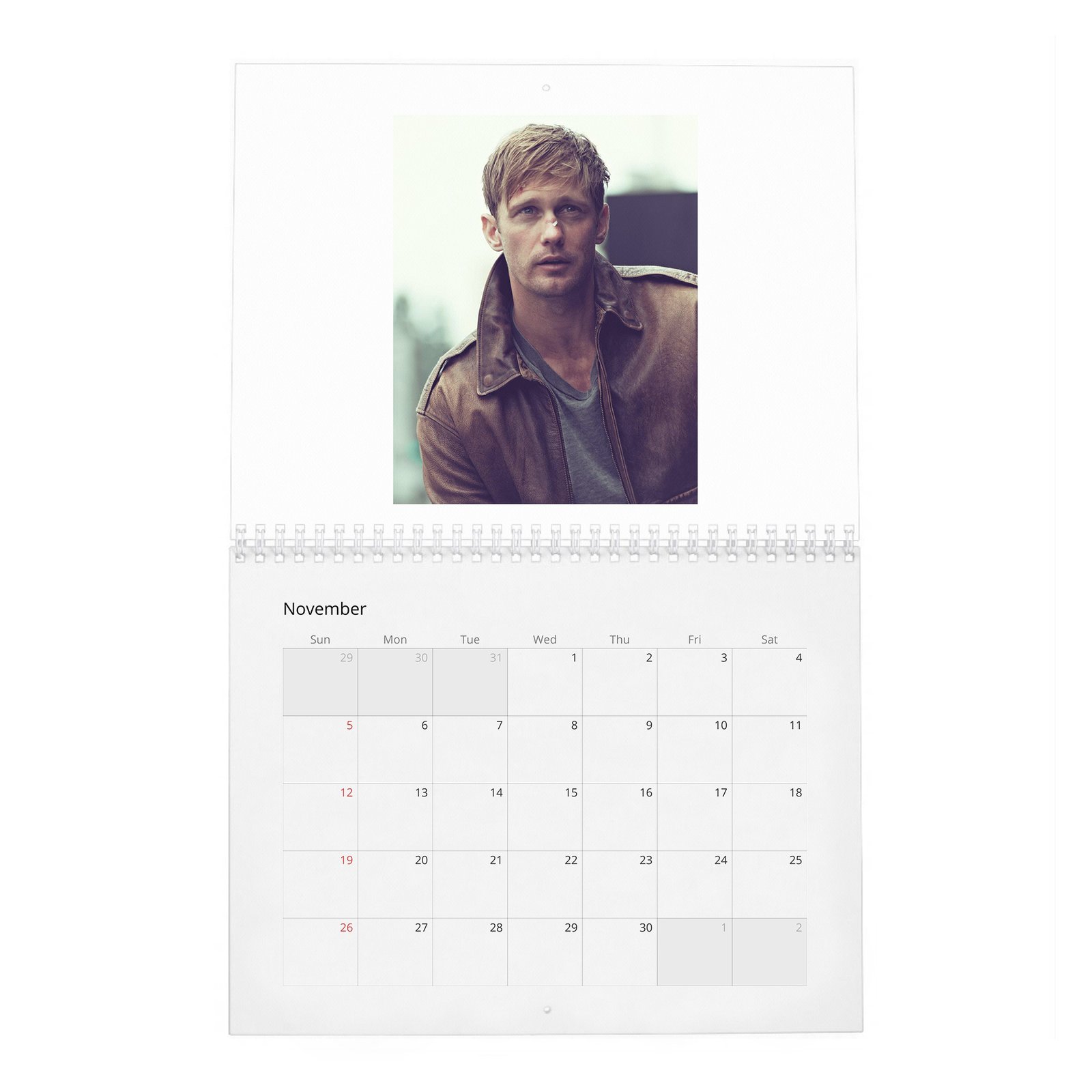 11 Alexander Skarsgard - Knockout At Fortune Gym 2027 Wall Calendar