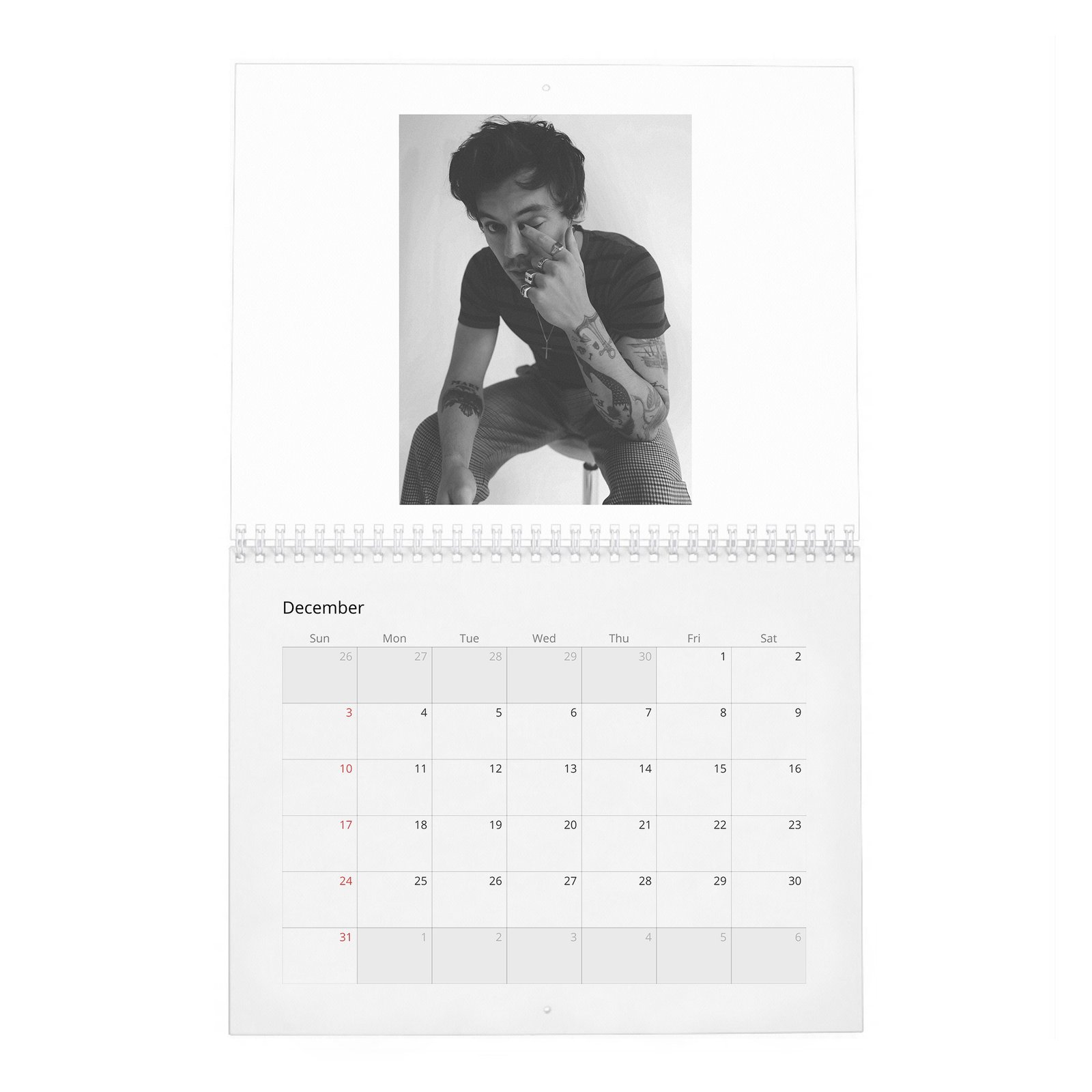 12 Harry Styles - House of Styles 2027 Wall Calendar