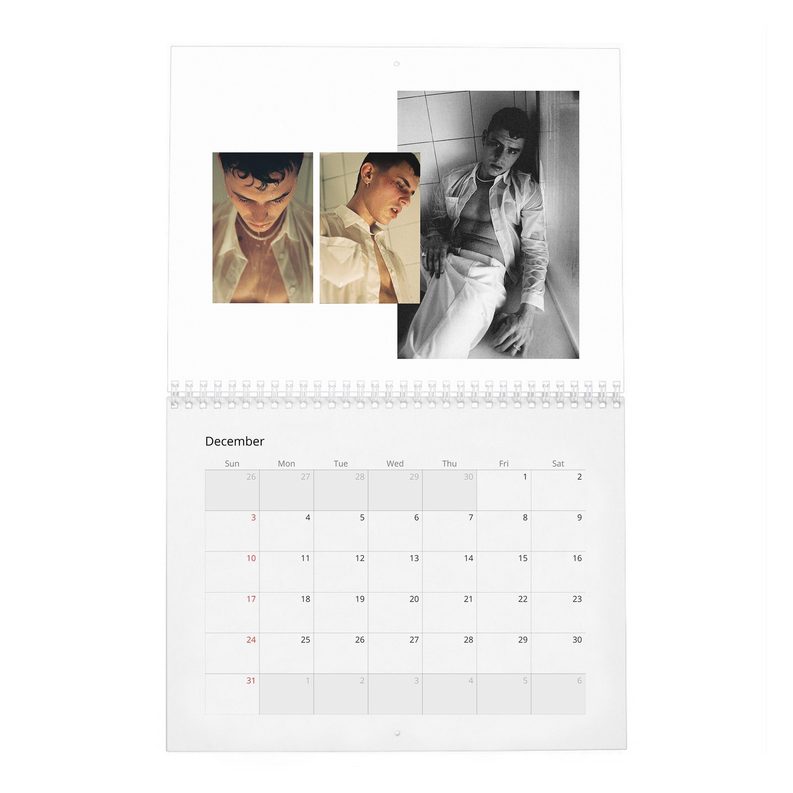12 Aron Piper - In Conversation 2027 Wall Calendar