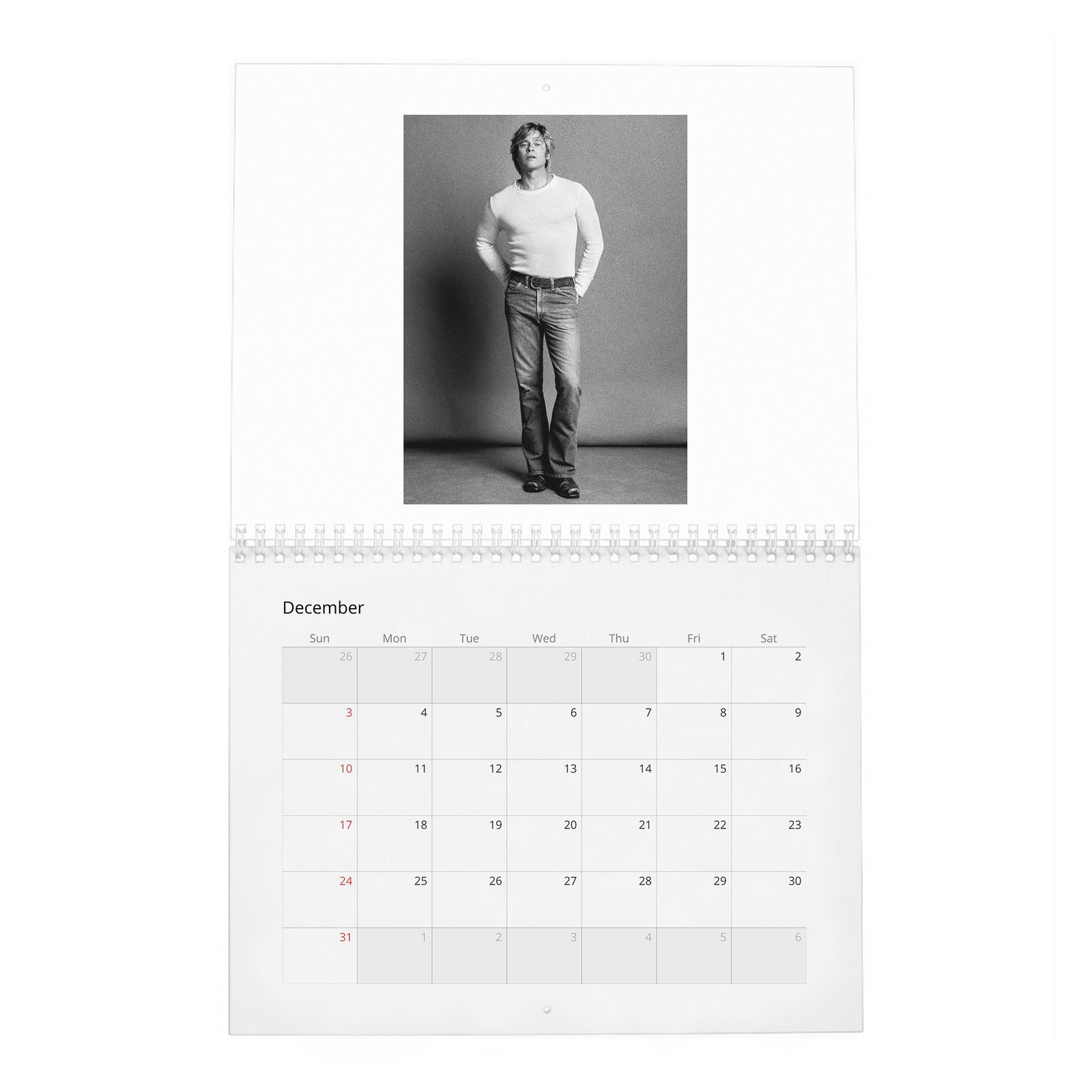 Brad Pitt - Born To Be Brad 2027 Wall Calendar