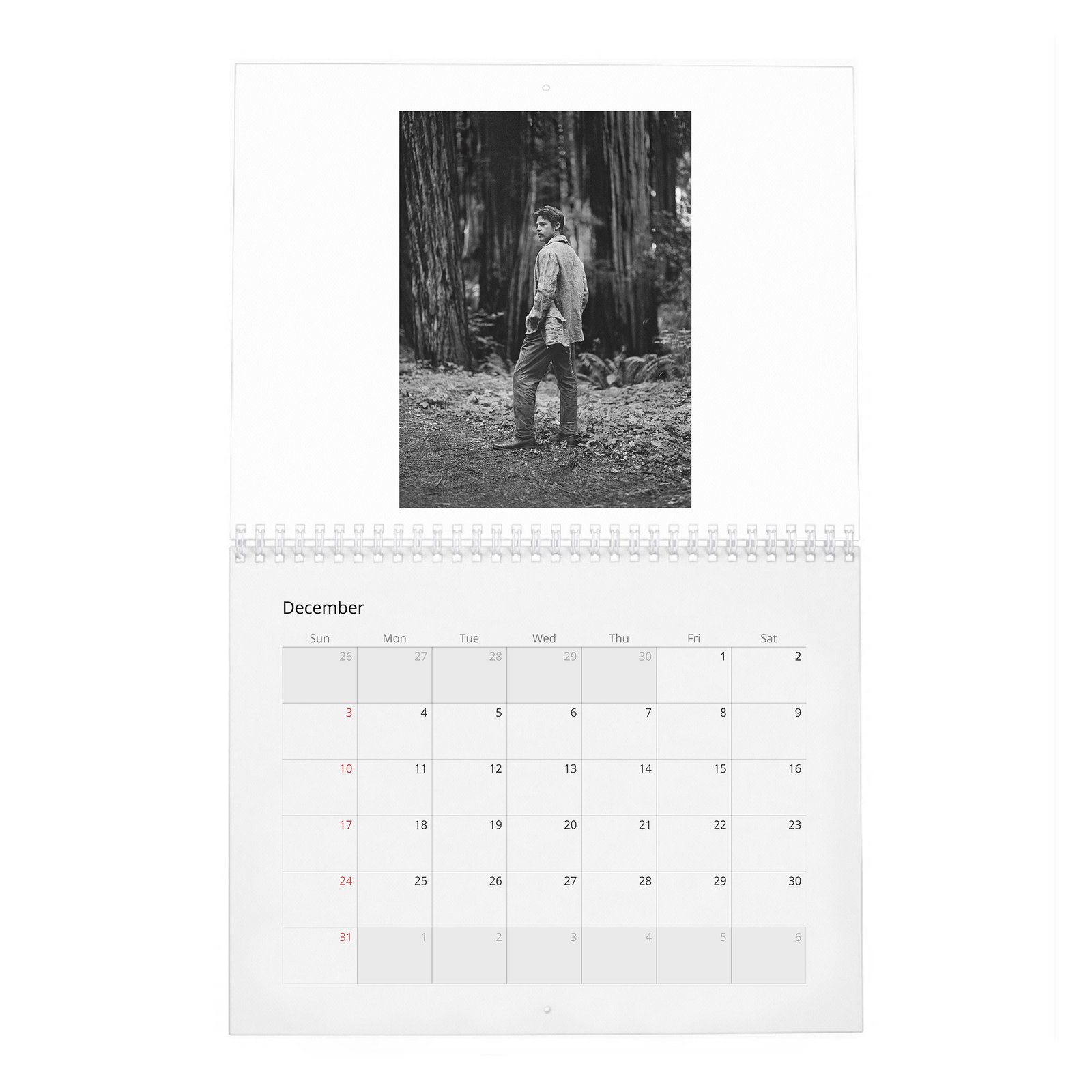 12 Brad Pitt - Forest Soul 2027 Wall Calendar