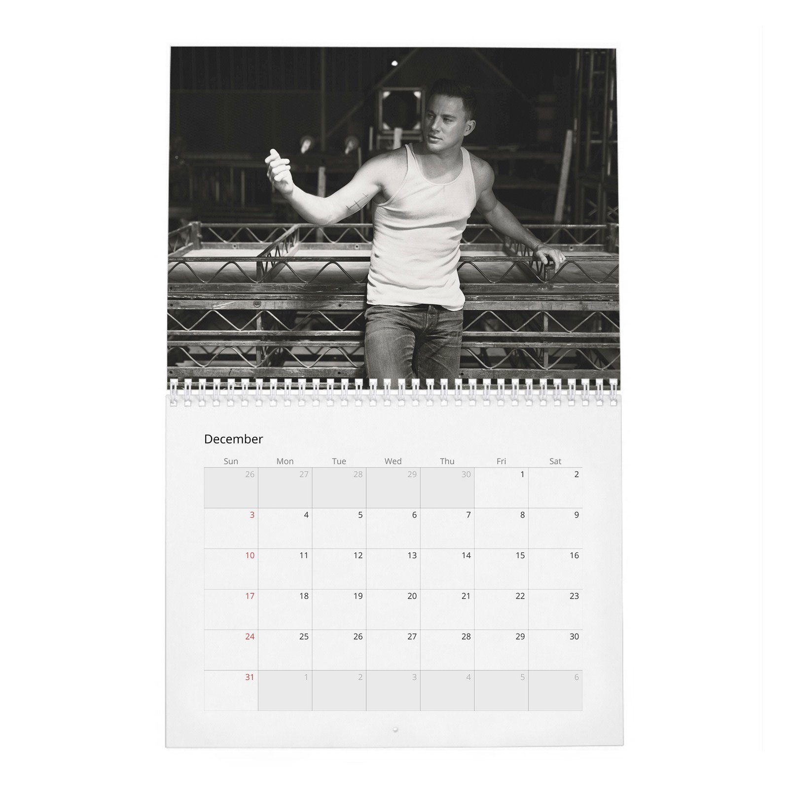 12 Channing Tatum - The Trials Of 2027 Wall Calendar