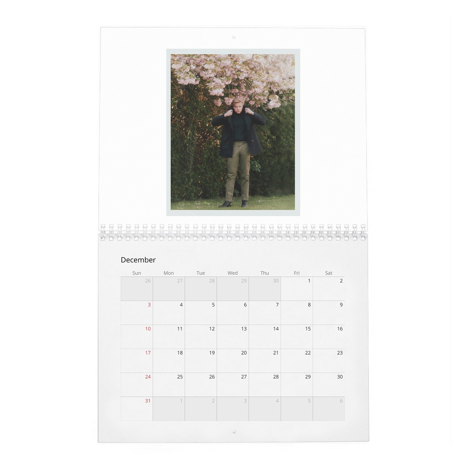 12 Jack Lowden - Laterals 2027 Wall Calendar