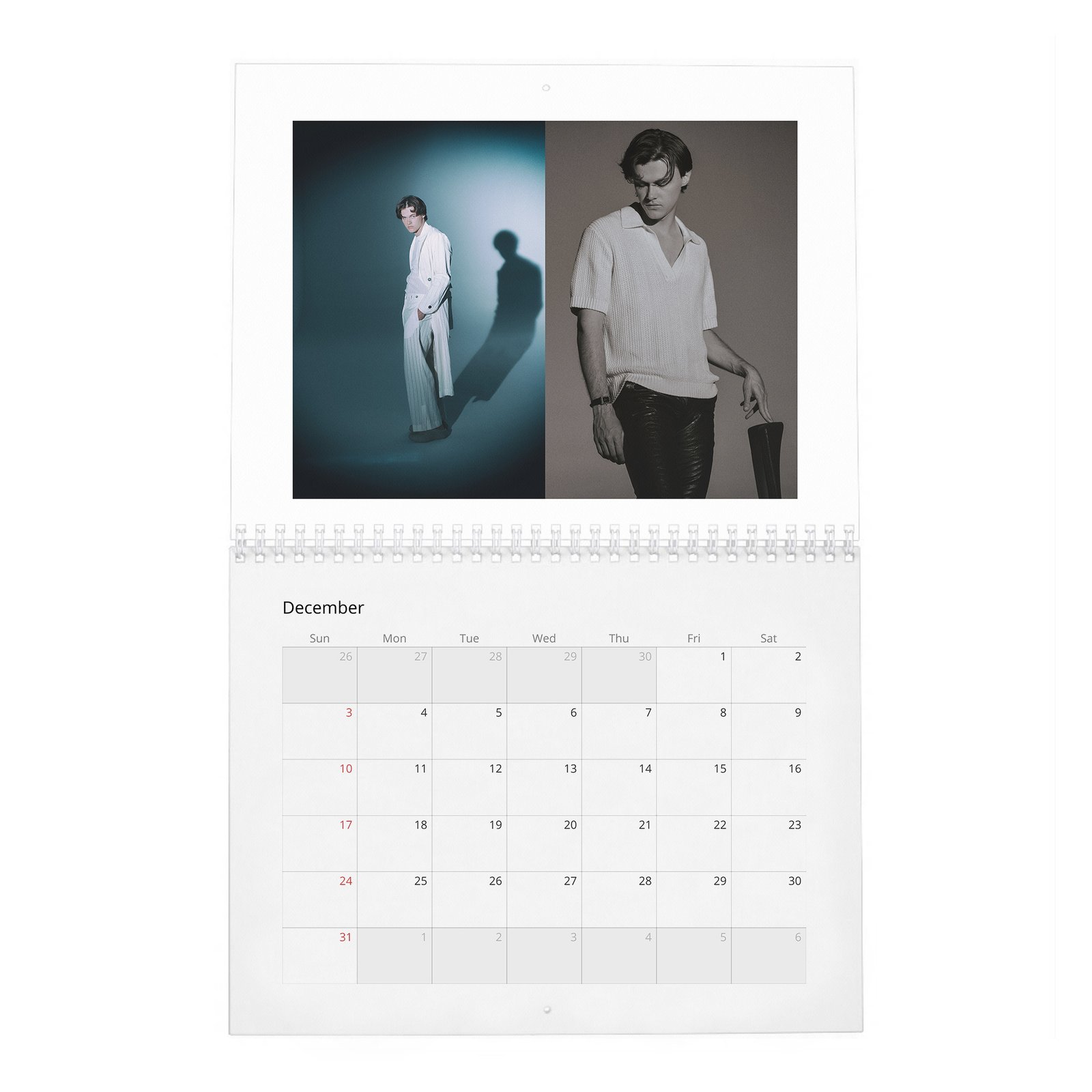 Christopher Briney - New Star 2027 Wall Calendar
