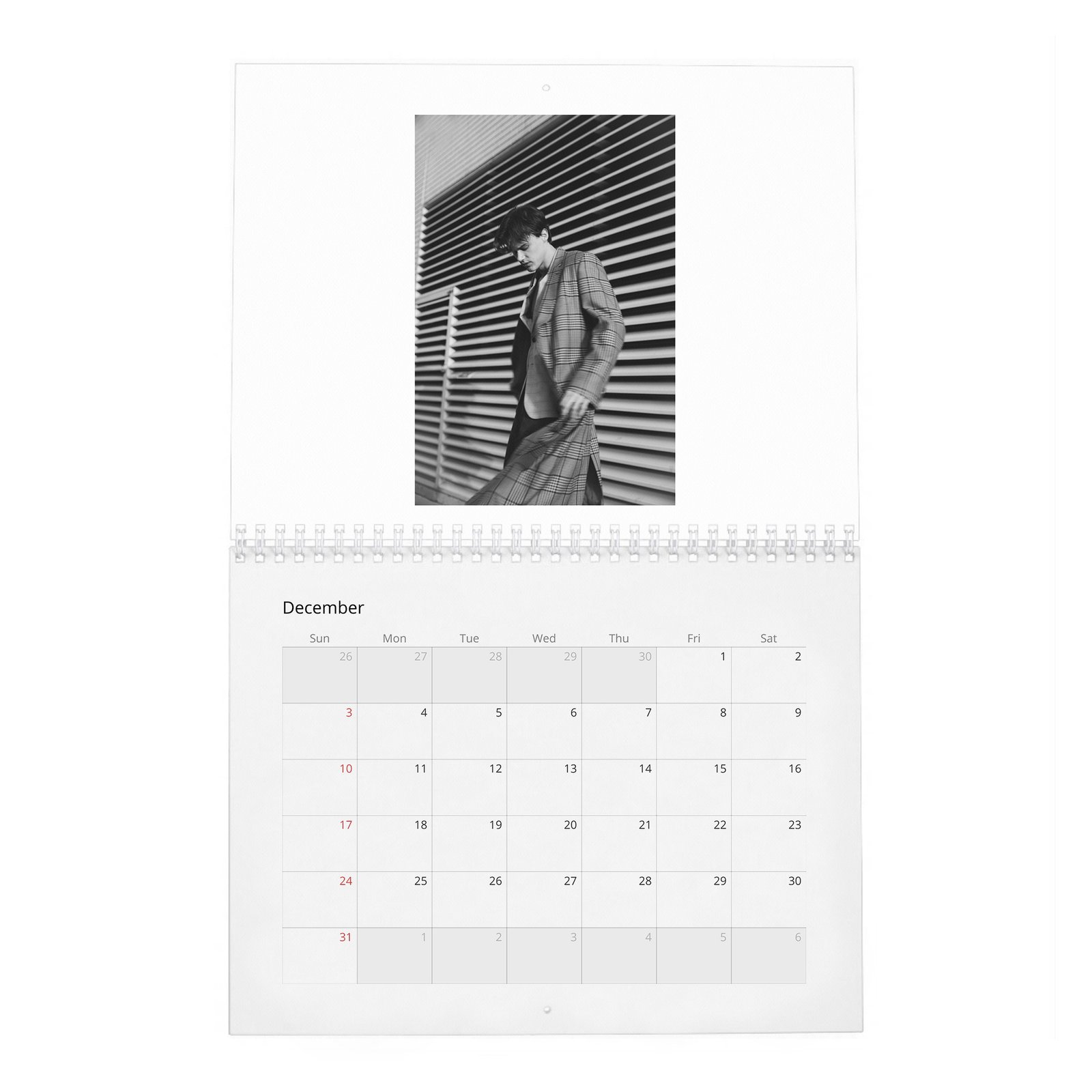 Christopher Briney - Passion For Acting 2027 Wall Calendar