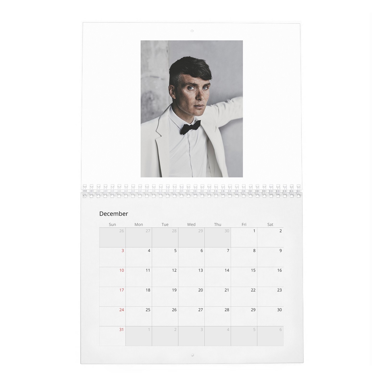 12 Cillian Murphy - Actor Of The Year 2027 Wall Calendar