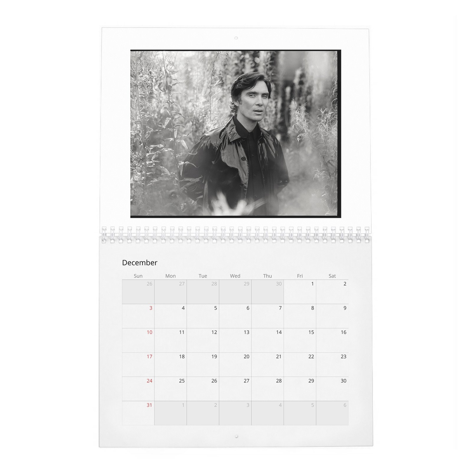 12 Cillian Murphy - Field Of His Own 2027 Wall Calendar
