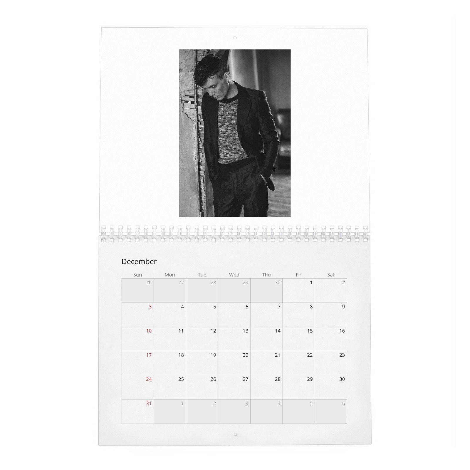 12 Cillian Murphy - So It Goes 2027 Wall Calendar