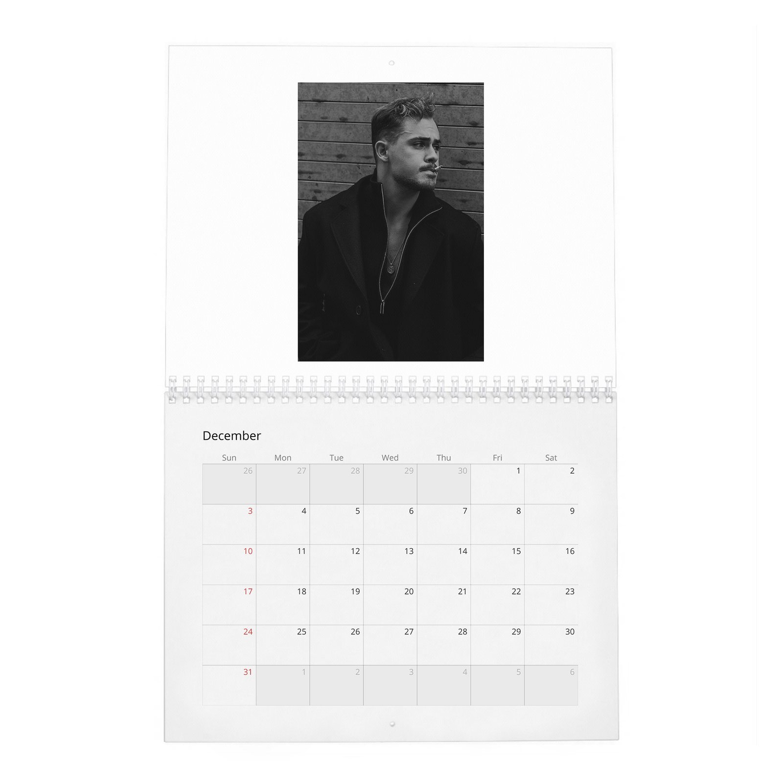 12 Dacre Montgomery - In Pursuit Of Curiosity 2027 Wall Calendar