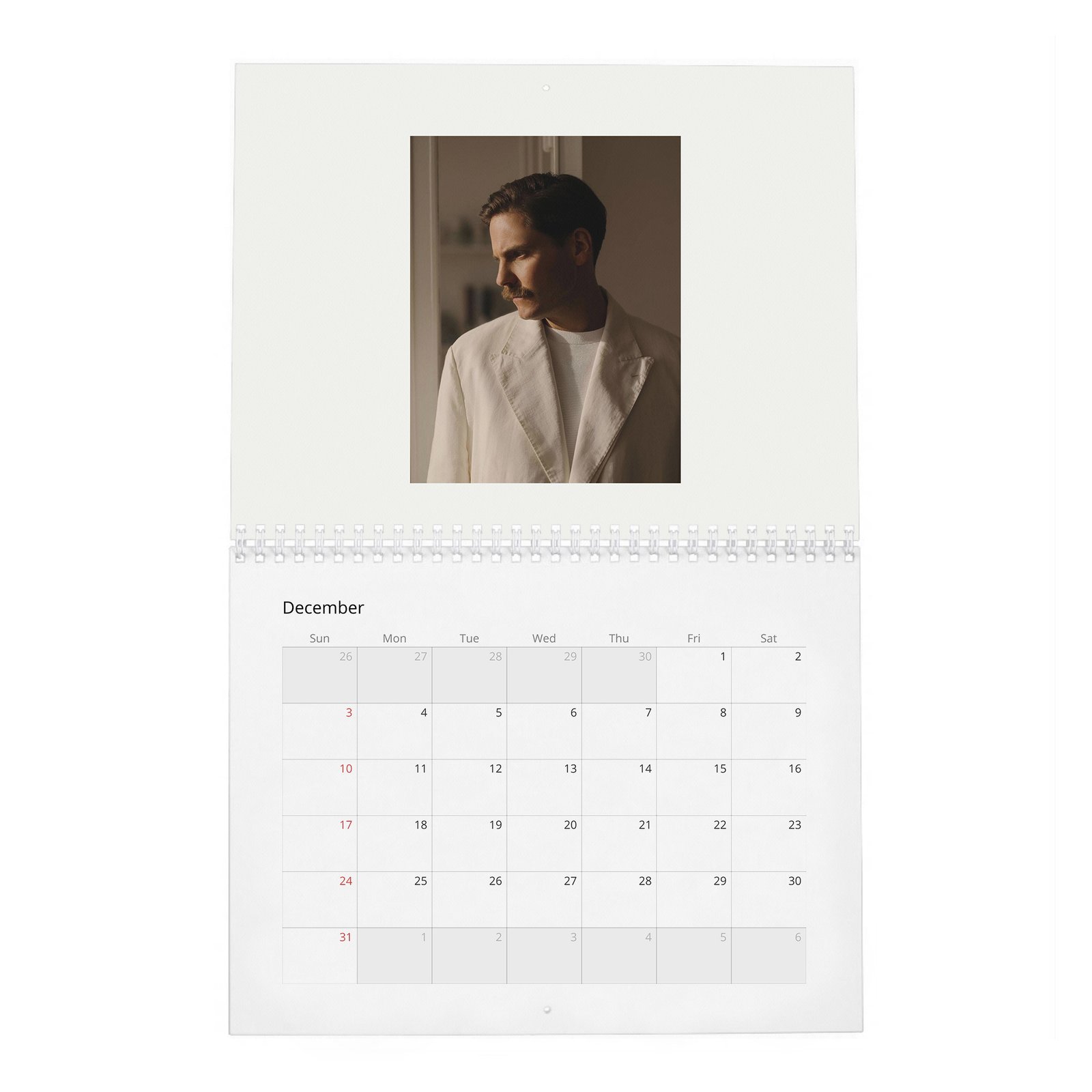 12 Daniel Bruhl - World Star Like Us 2027 Wall Calendar