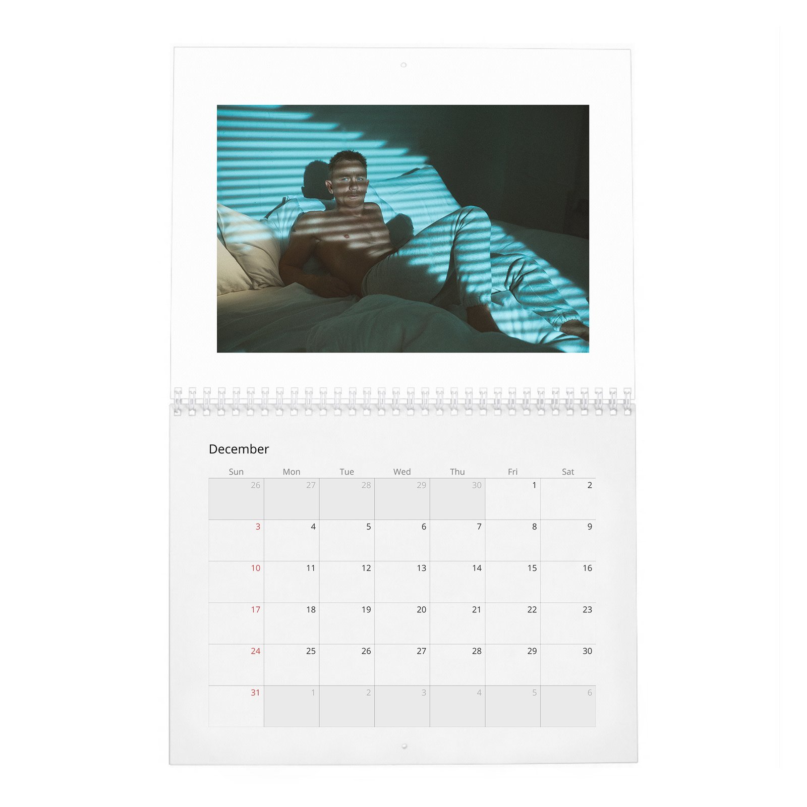 12 Daniel Craig - Heart Of An Assassin 2027 Wall Calendar