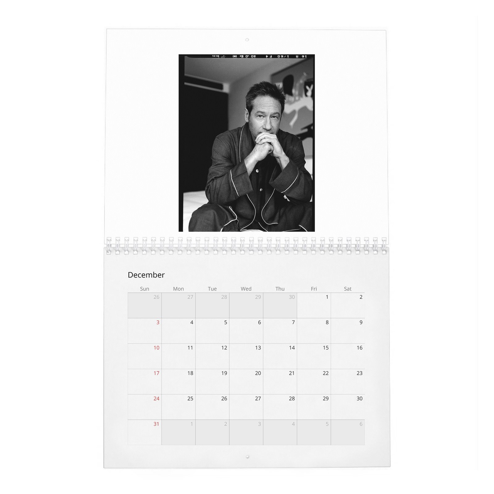 David Duchovny - Weekend In The Life 2027 Wall Calendar