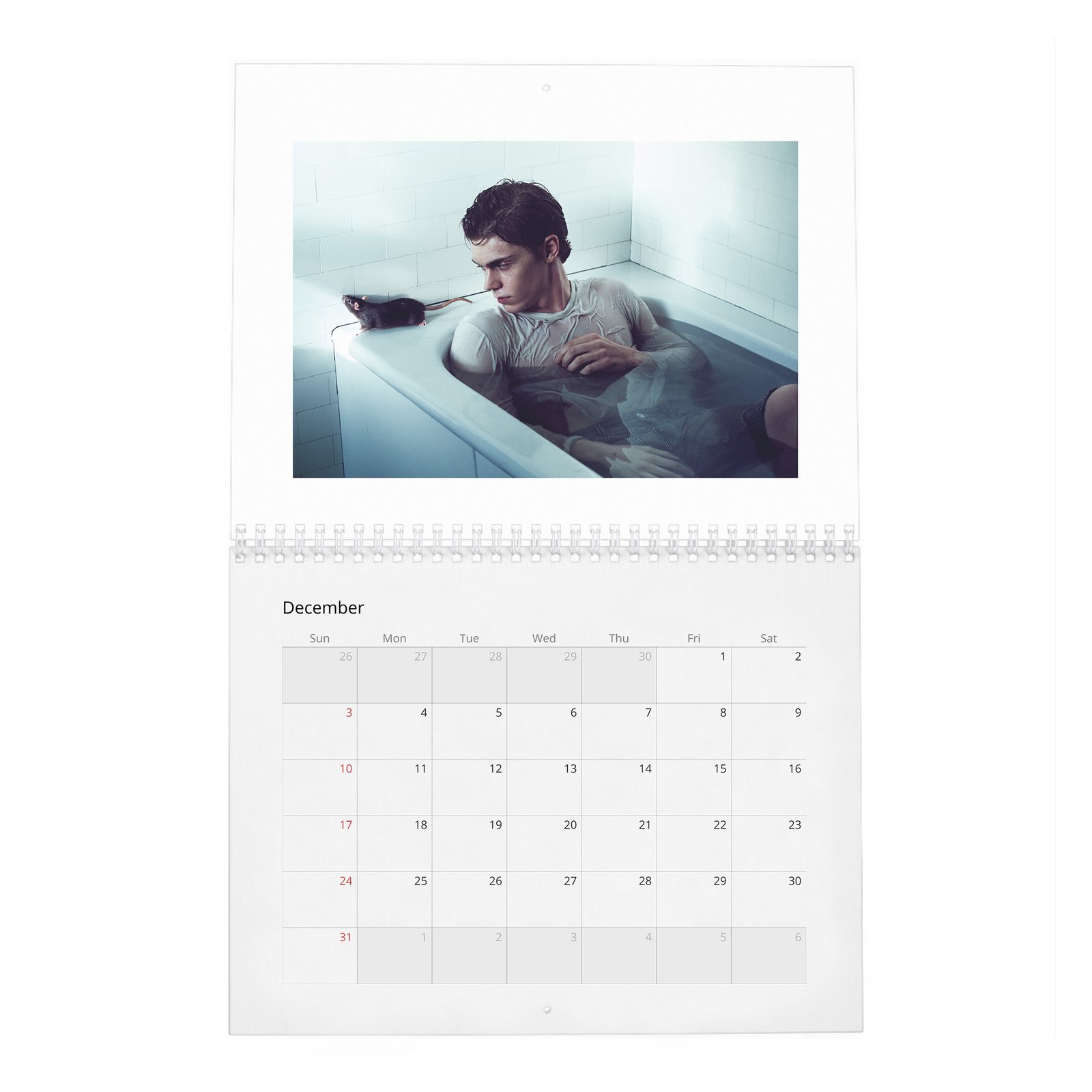 12 Evan Peters - Flaunt 2027 Wall Calendar