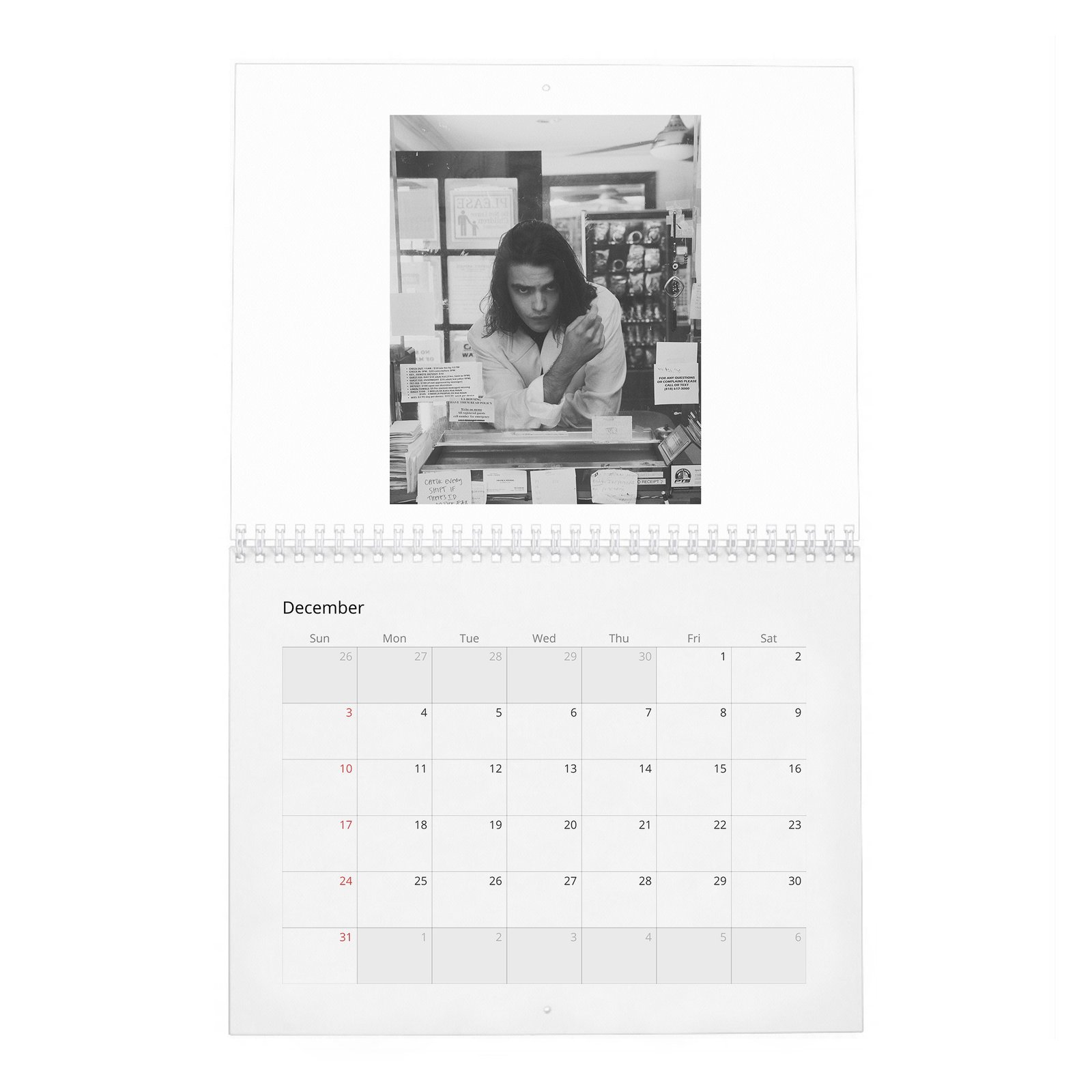 Felix Mallard - Flaunt 2027 Wall Calendar