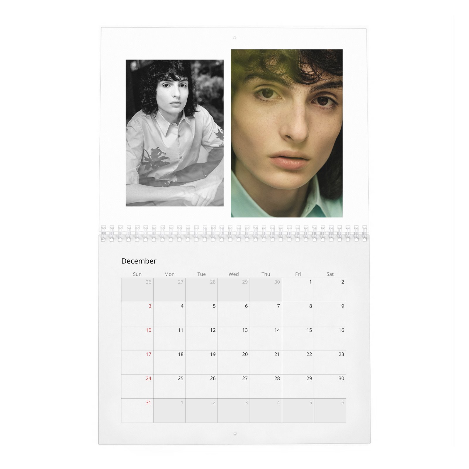 12 Finn Wolfhard - Stranger Teen 2027 Wall Calendar