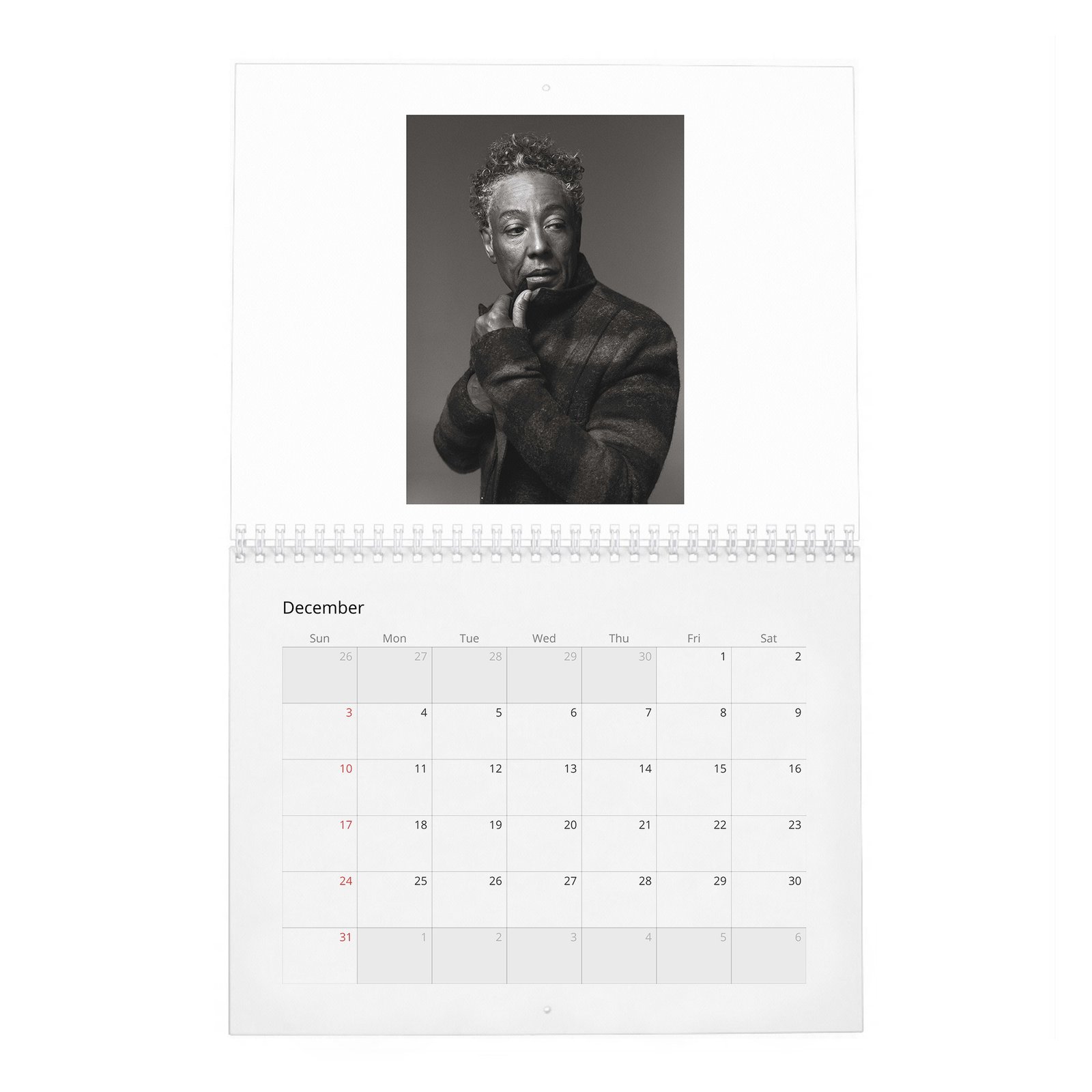 12 Giancarlo Esposito - Rogue 2027 Wall Calendar