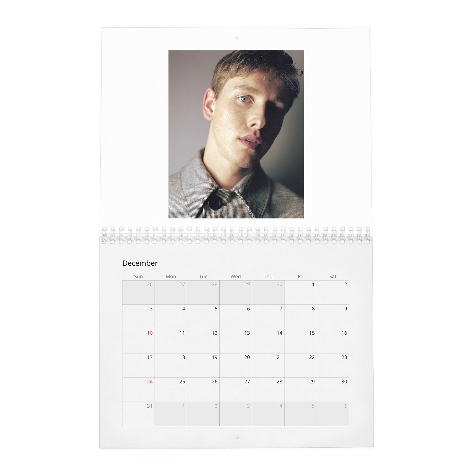 Harris Dickinson - Wonderland 2027 Wall Calendar