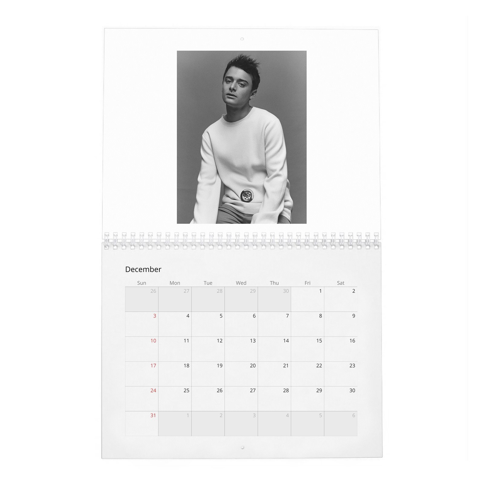 12 Noah Schnapp - Flaunt 2027 Wall Calendar