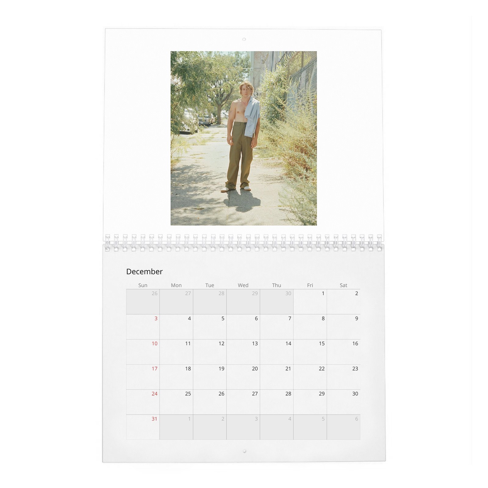 Jeremy Allen White - Yes Chef 2027 Wall Calendar