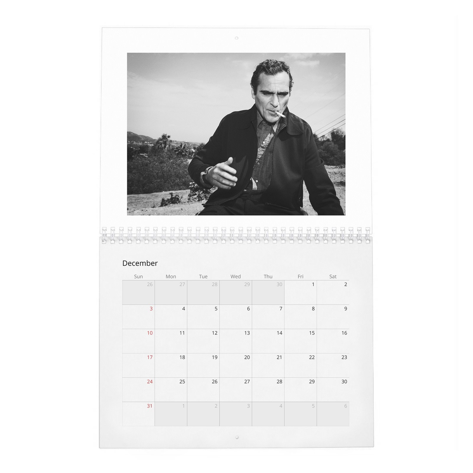 12 Joaquin Phoenix - Hollywood Rebel 2027 Wall Calendar