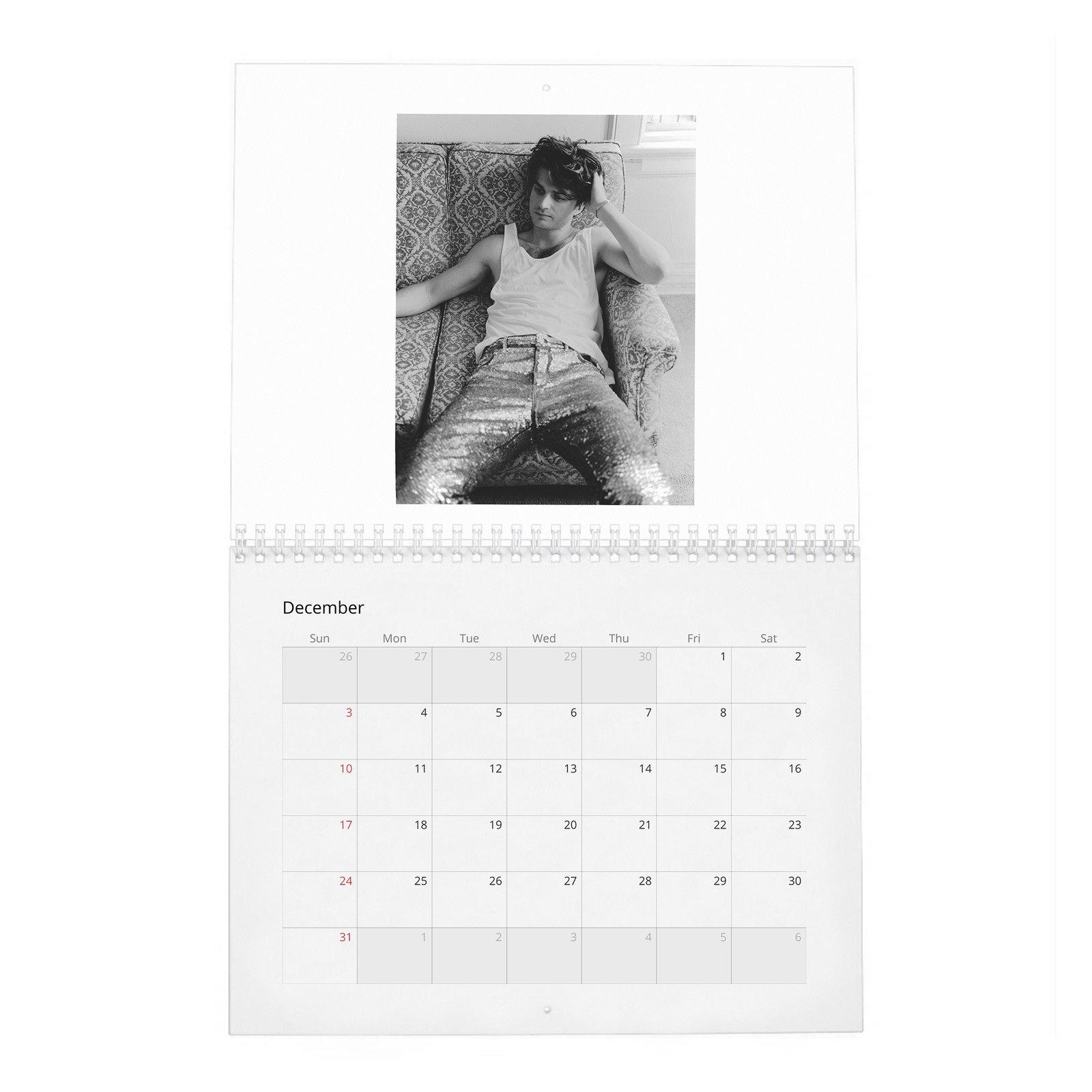 Joe Keery - Levels Up 2027 Wall Calendar