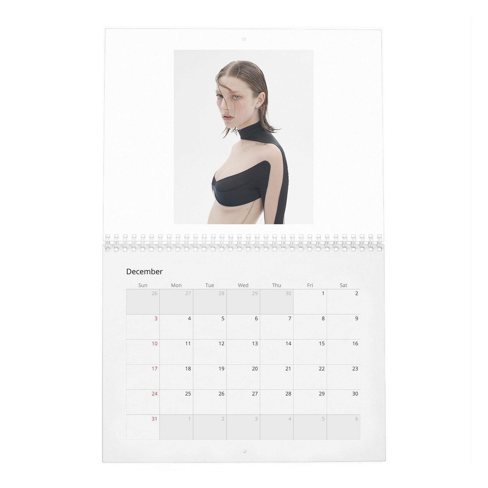 12 (2) Hunter Schafer - Leaning In 2027 Wall Calendar