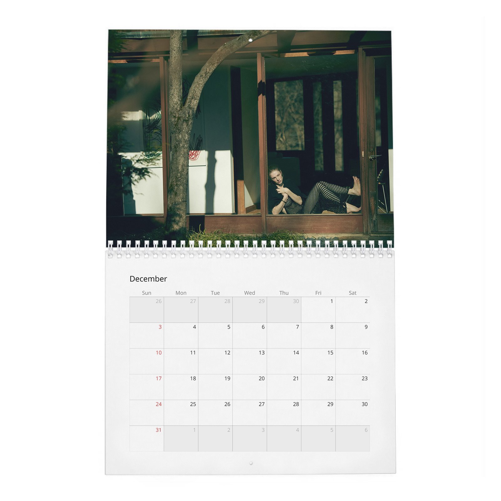 12 (2) Hunter Schafer - Art & Expression 2027 Wall Calendar